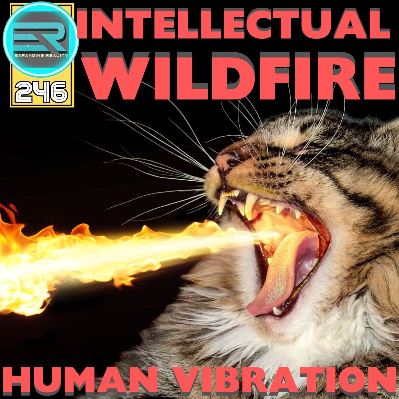 246 | Human Vibration | Intellectual Wildfire