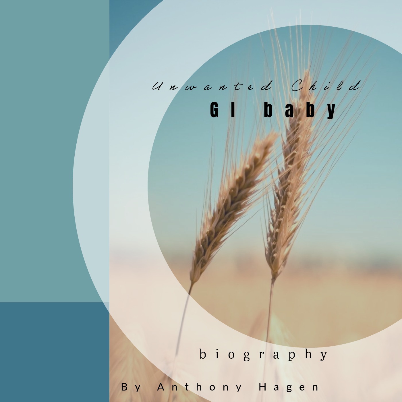 Audio Player Image