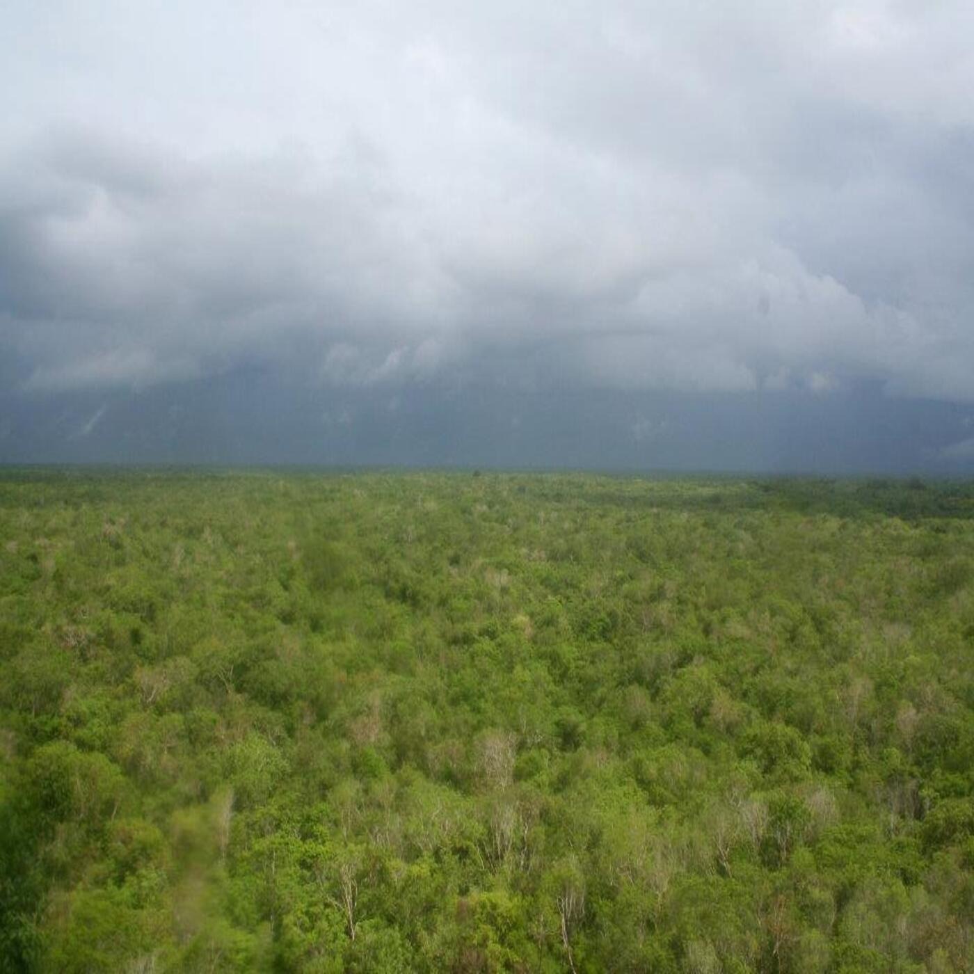 The Conquest of the Yucatan - Part 2