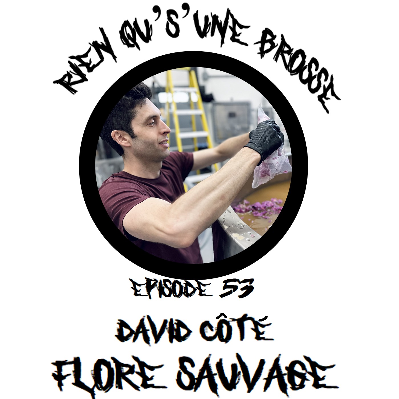 Épisode 53 - David Côté (Flore Sauvage)