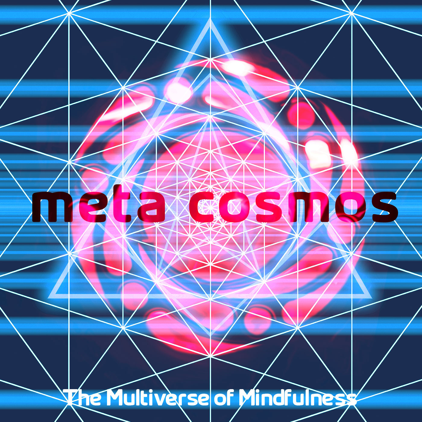 009: The Multiverse of Mindfulness