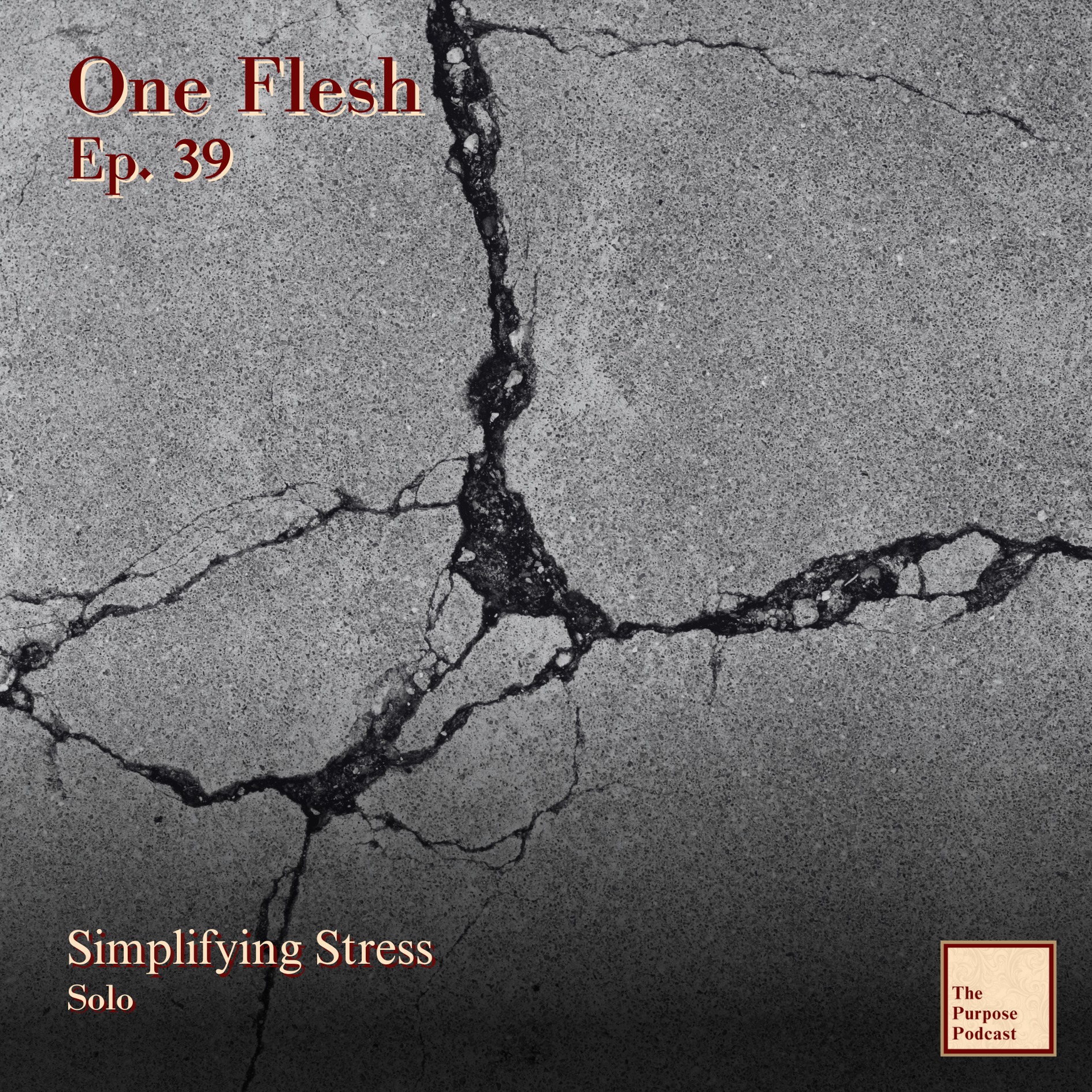 One Flesh - Ep. 39 Simplifying Stress | Solo episode artwork