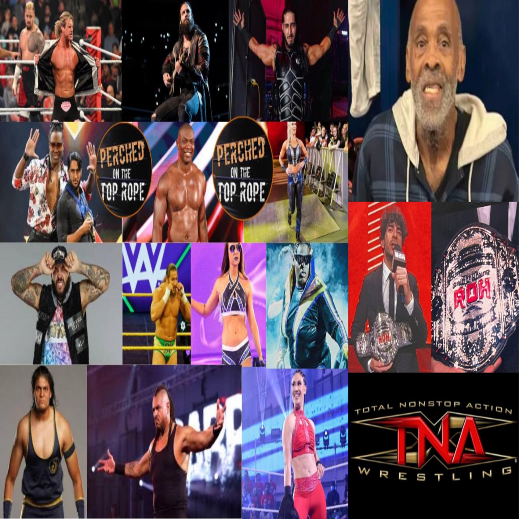 US WWE Randy Orton RKO King Snake 01_H Pullover India
