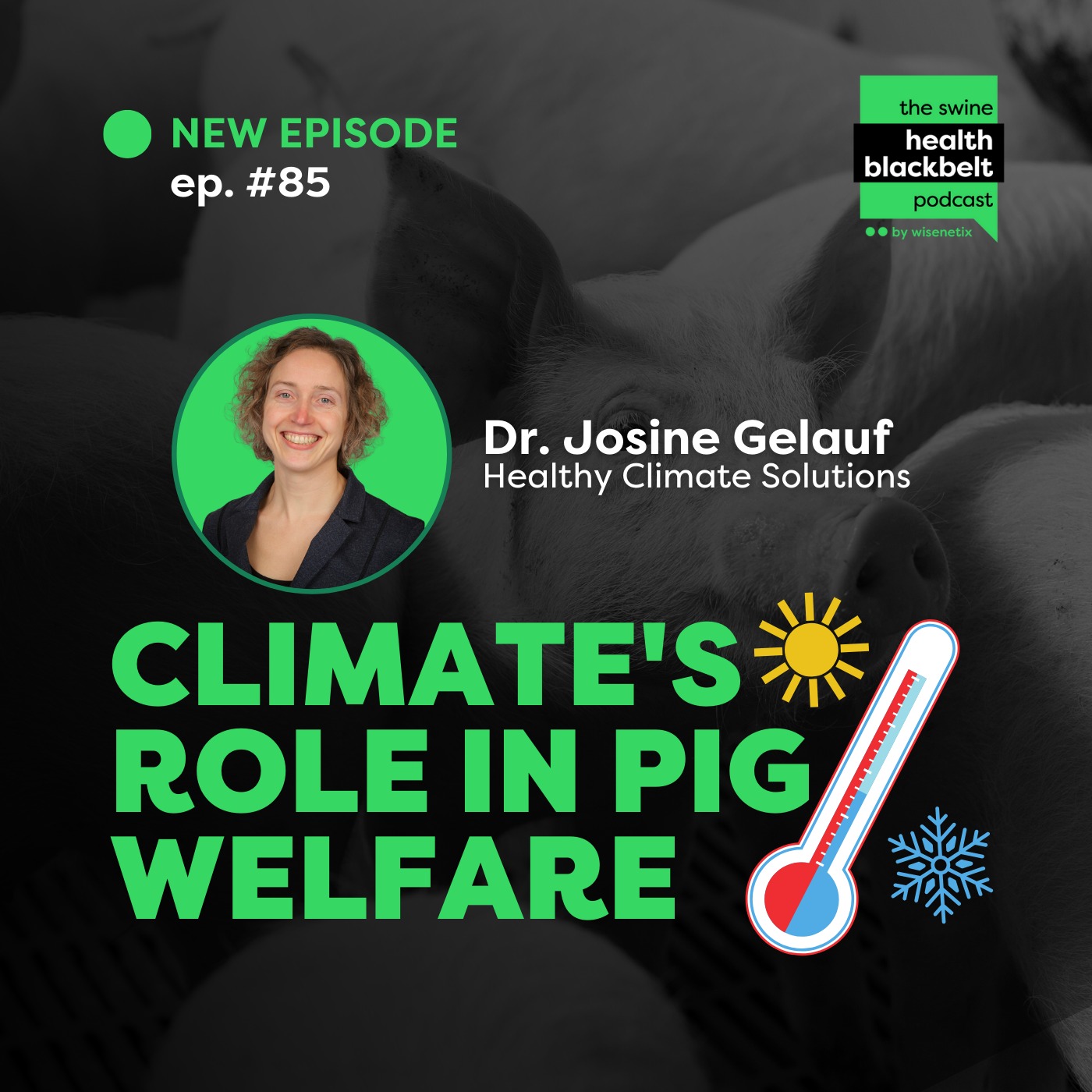 Dr. Josine Gelauf: Climate's Role in Pig Welfare | Ep. 85