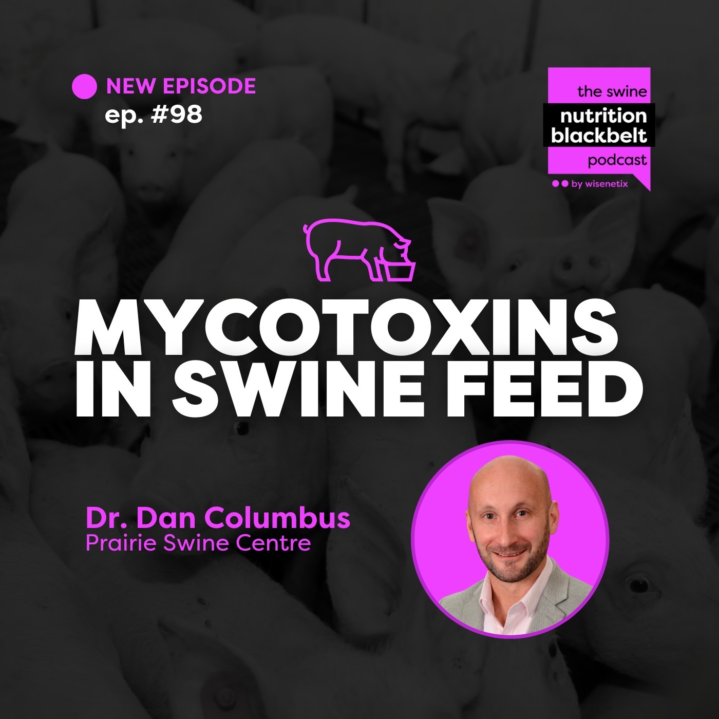 Dr. Daniel Columbus: Mycotoxins in Swine Feed | Ep. 98