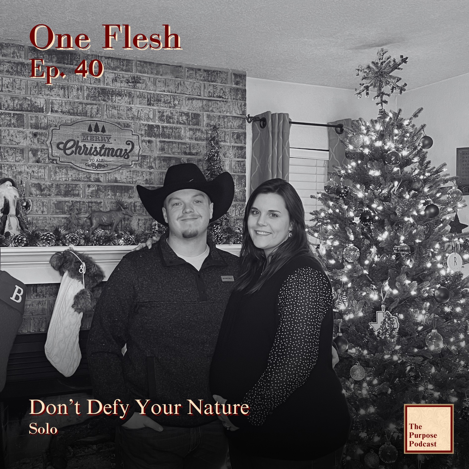 One Flesh Ep. 40 - Don't Deny Your Nature | Solo episode artwork