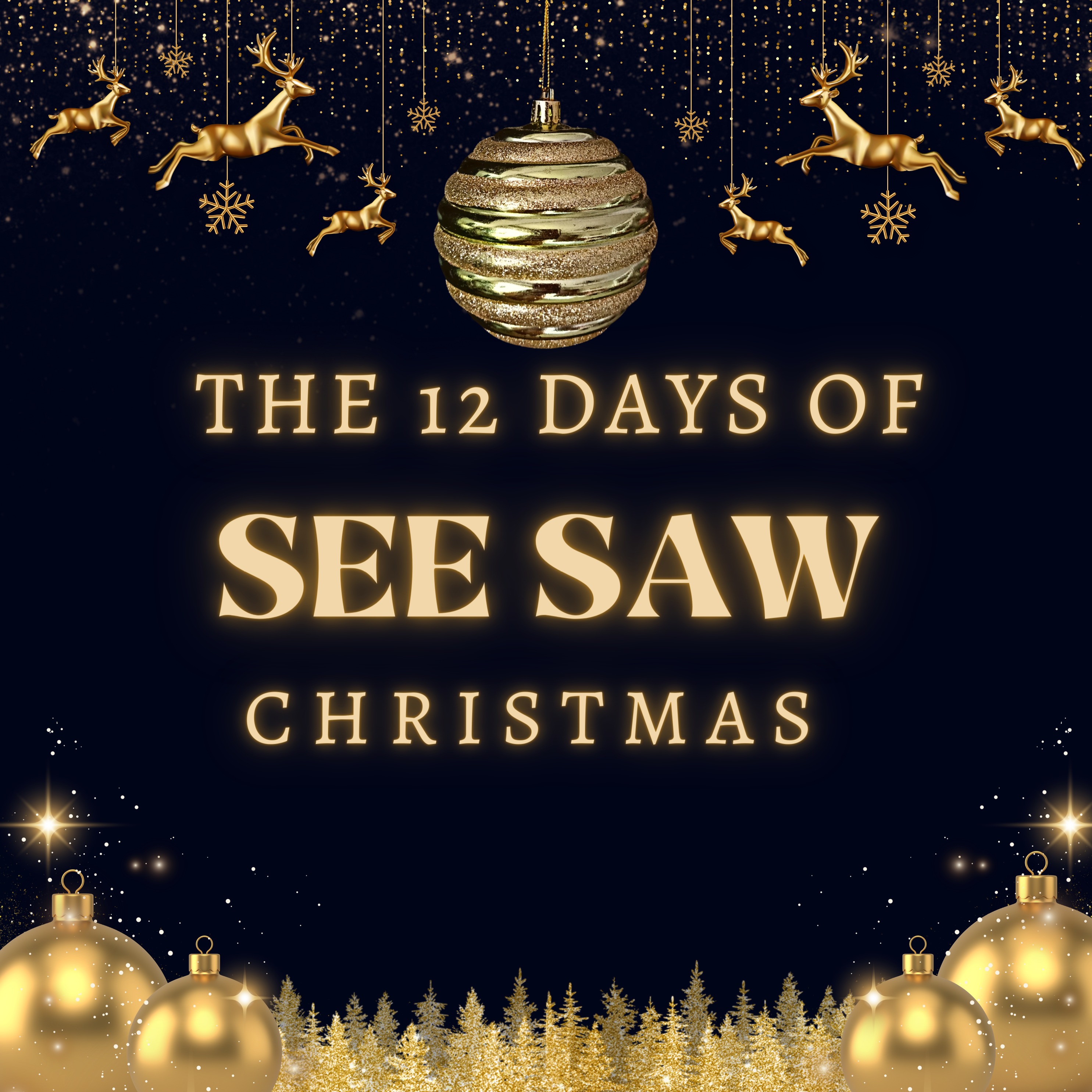 12 Days of See Saw Christmas - Day 4 - Naqi Rizvi episode artwork