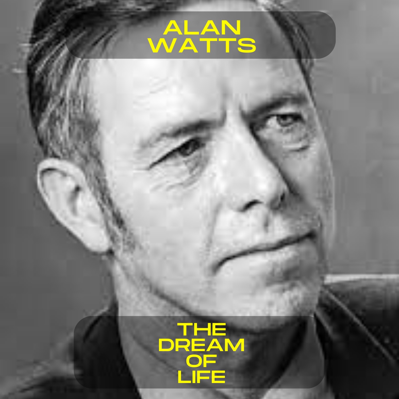 Alan Watts; The dream of life motivational speech