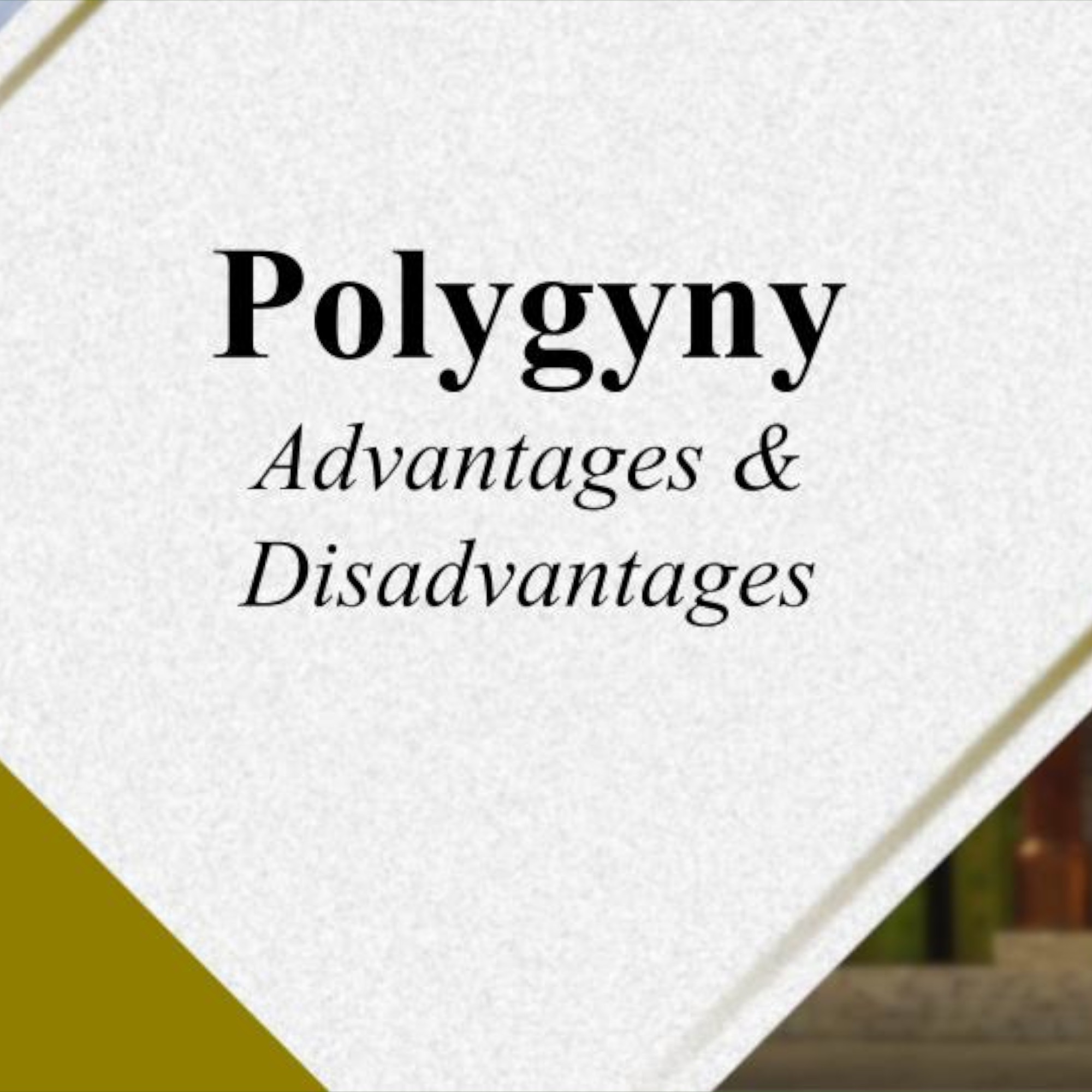 Polygyny 106 - Advantages and Disadvantages