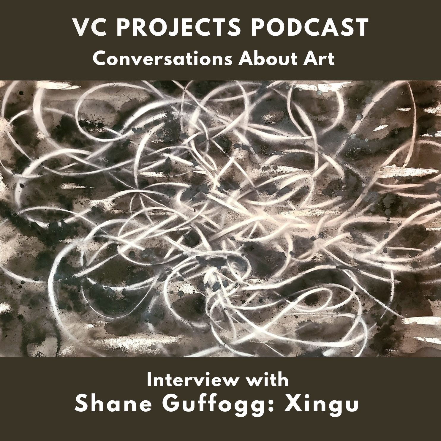 SHANE GUFFOGG: XINGU