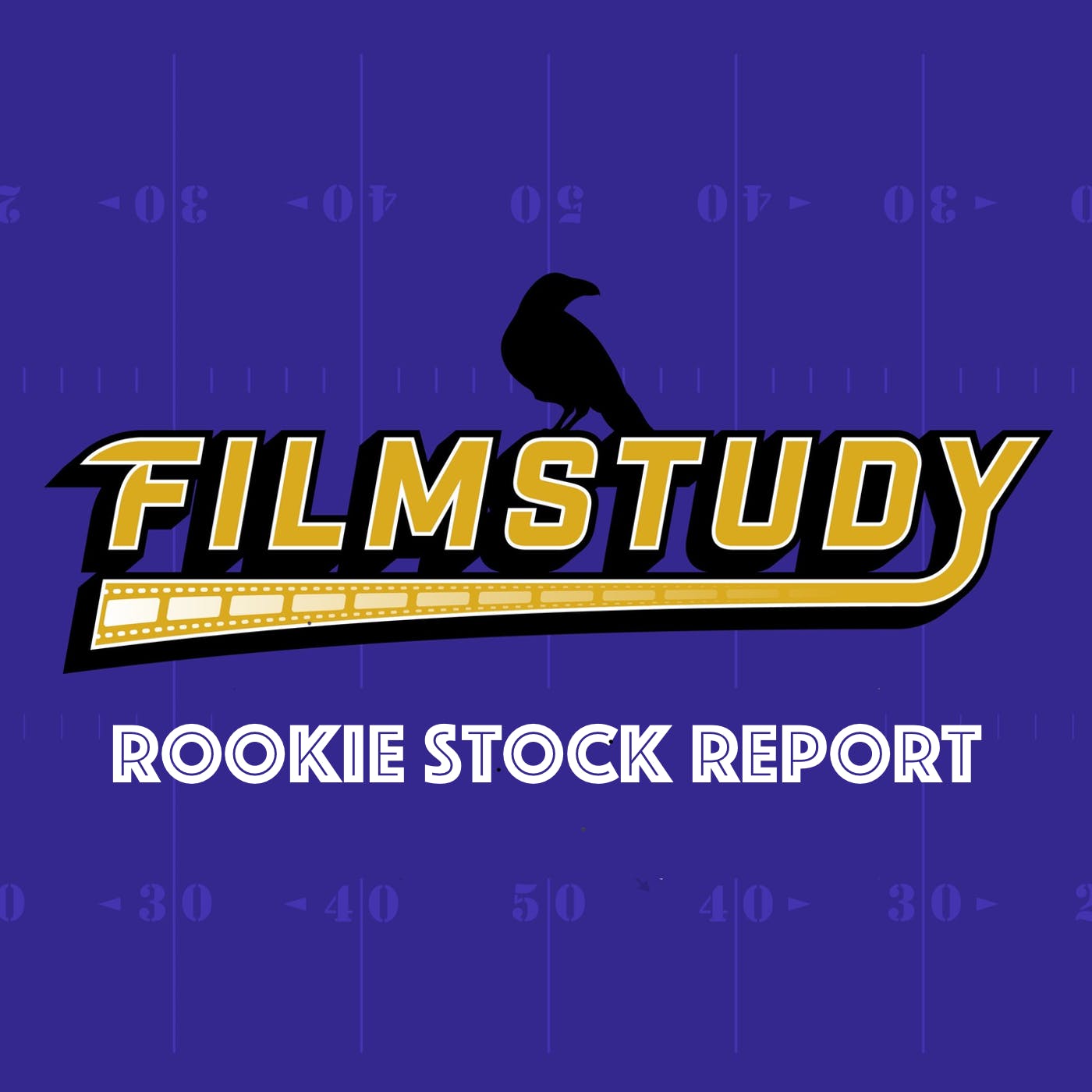 Rookie Stock Report