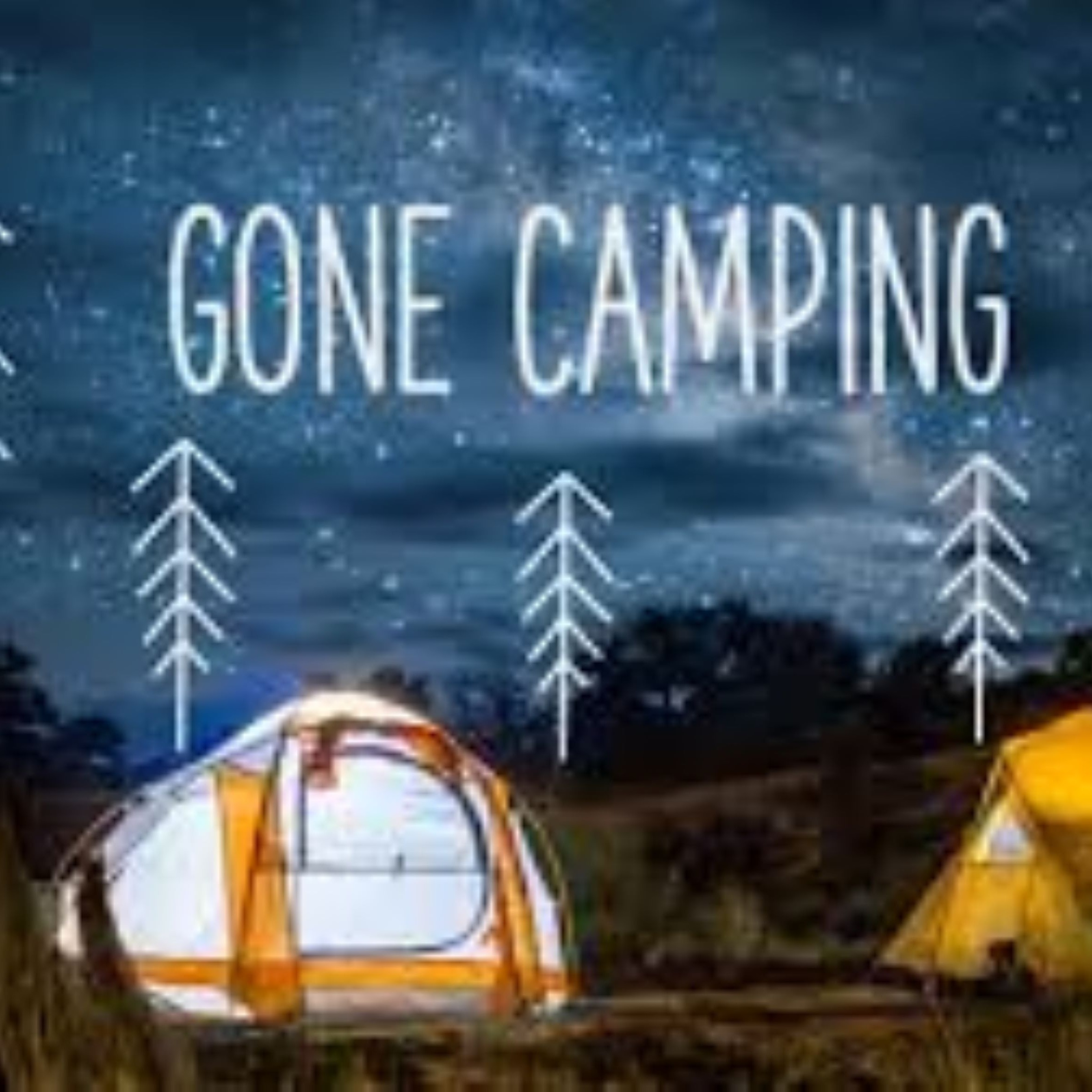 Zombies, Madlibs, & Camping