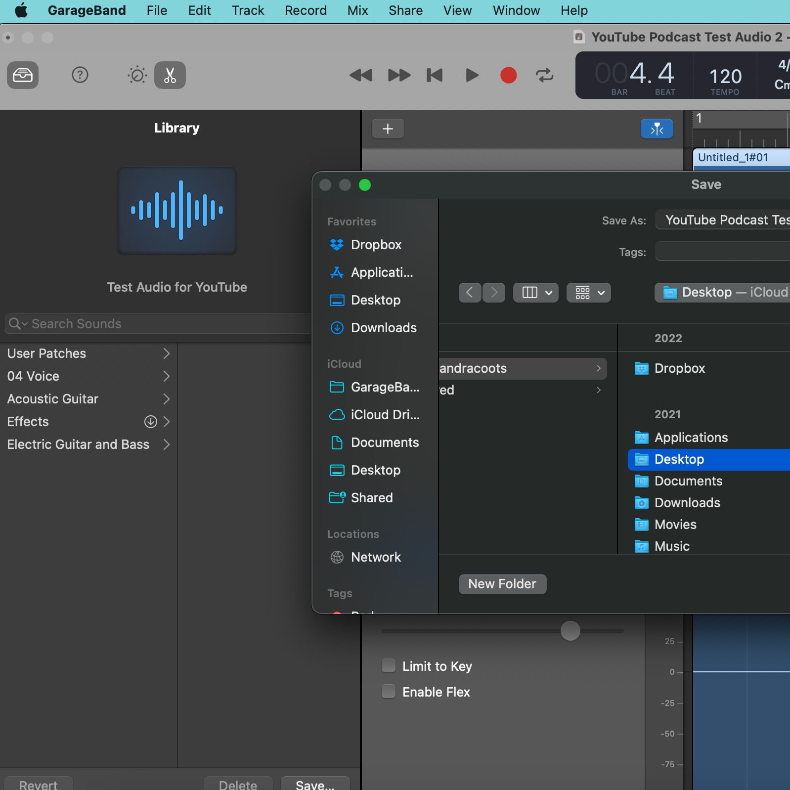 Audio Player Image