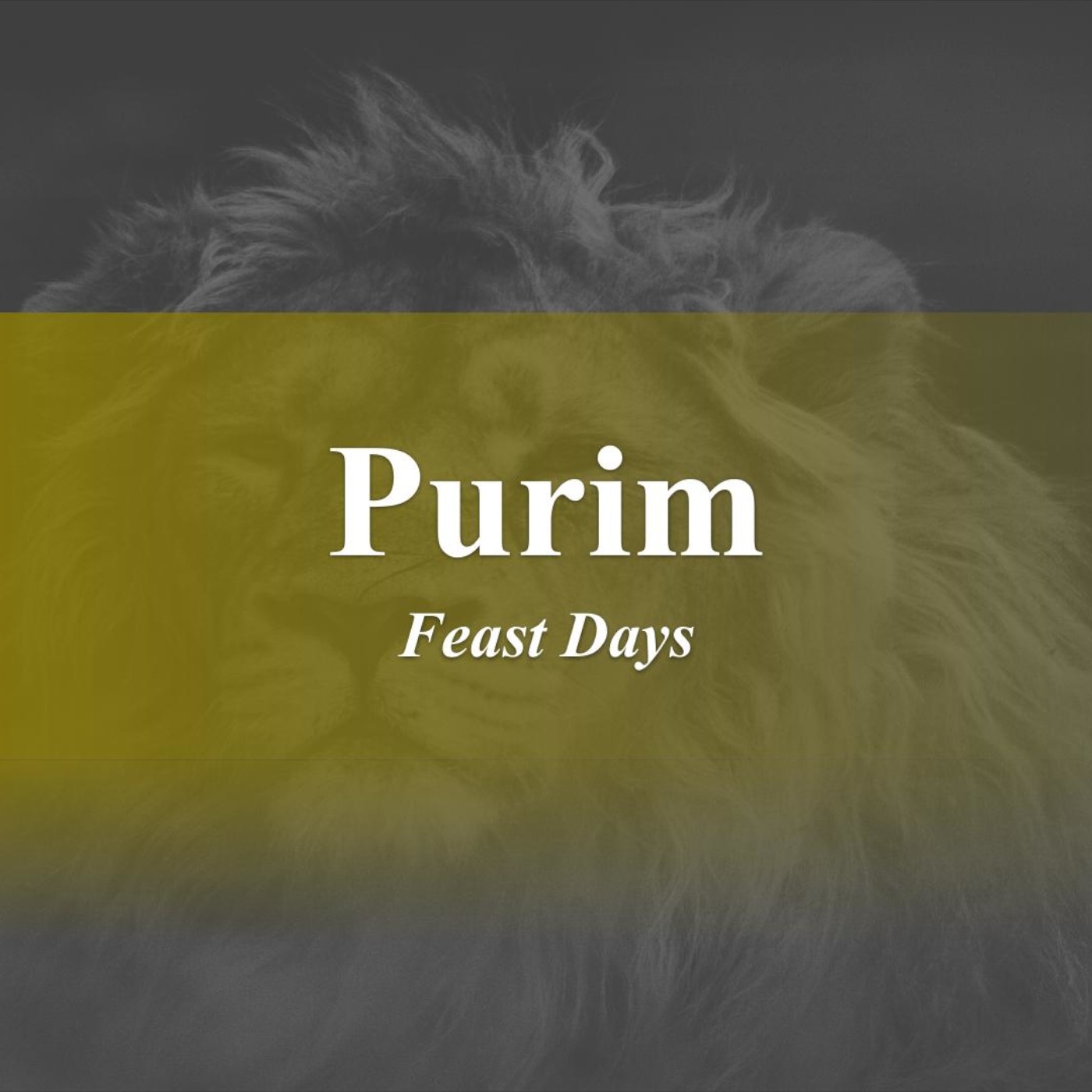 What is Purim? - God Honest Truth Live Stream 02/17/2023