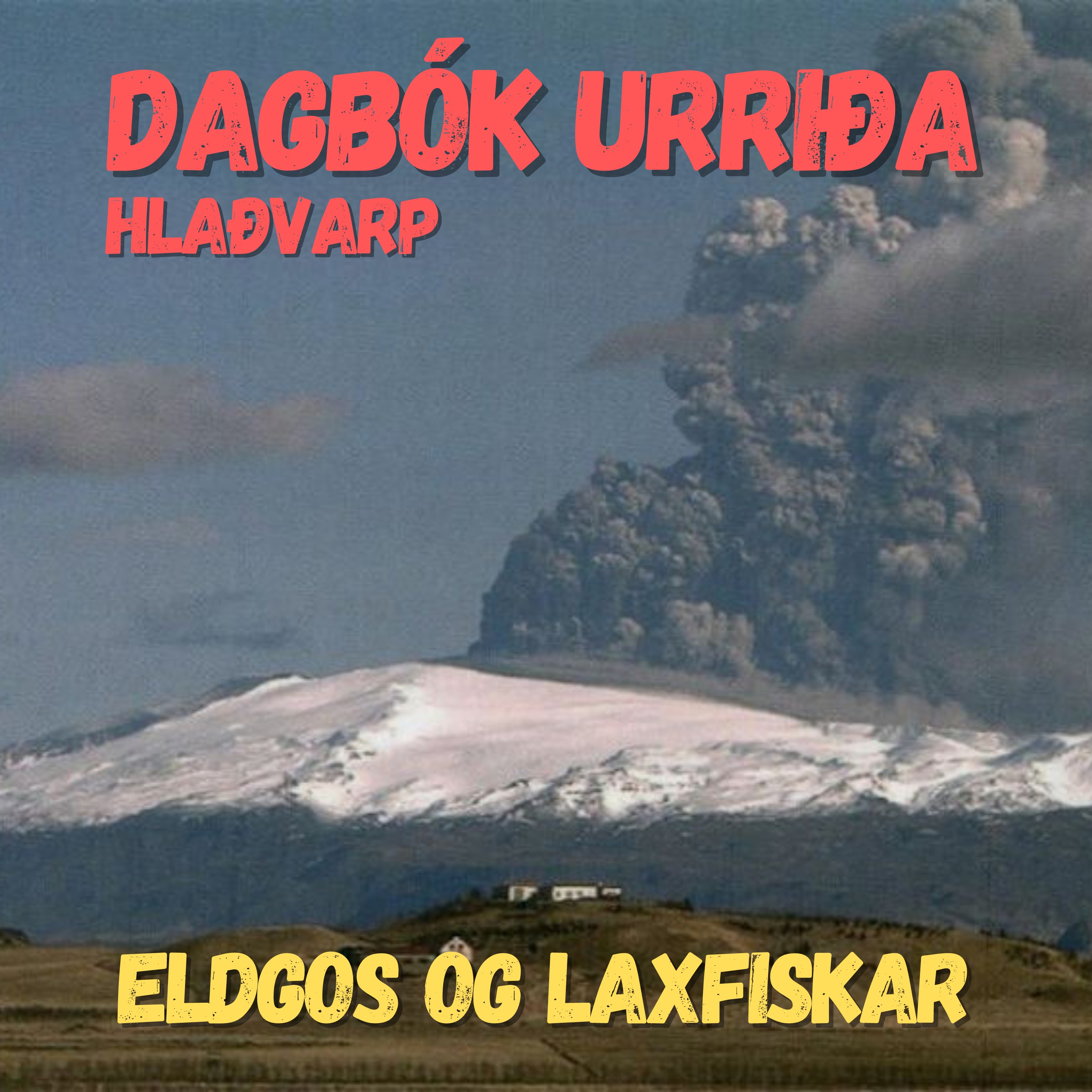 Dagbók urriða - Truflaðir veiðimenn - Áskrift.