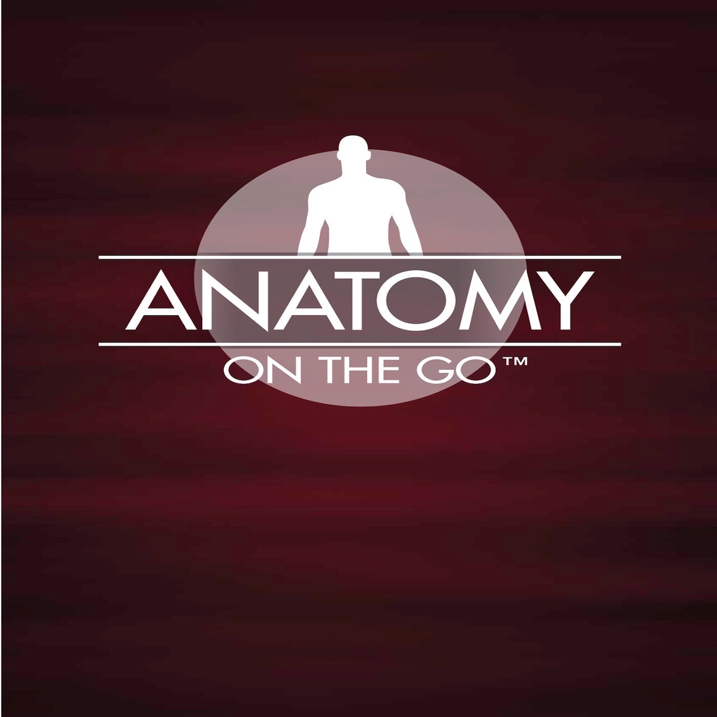 Episode 66: Learning Anatomy and the Voices in Your Head
