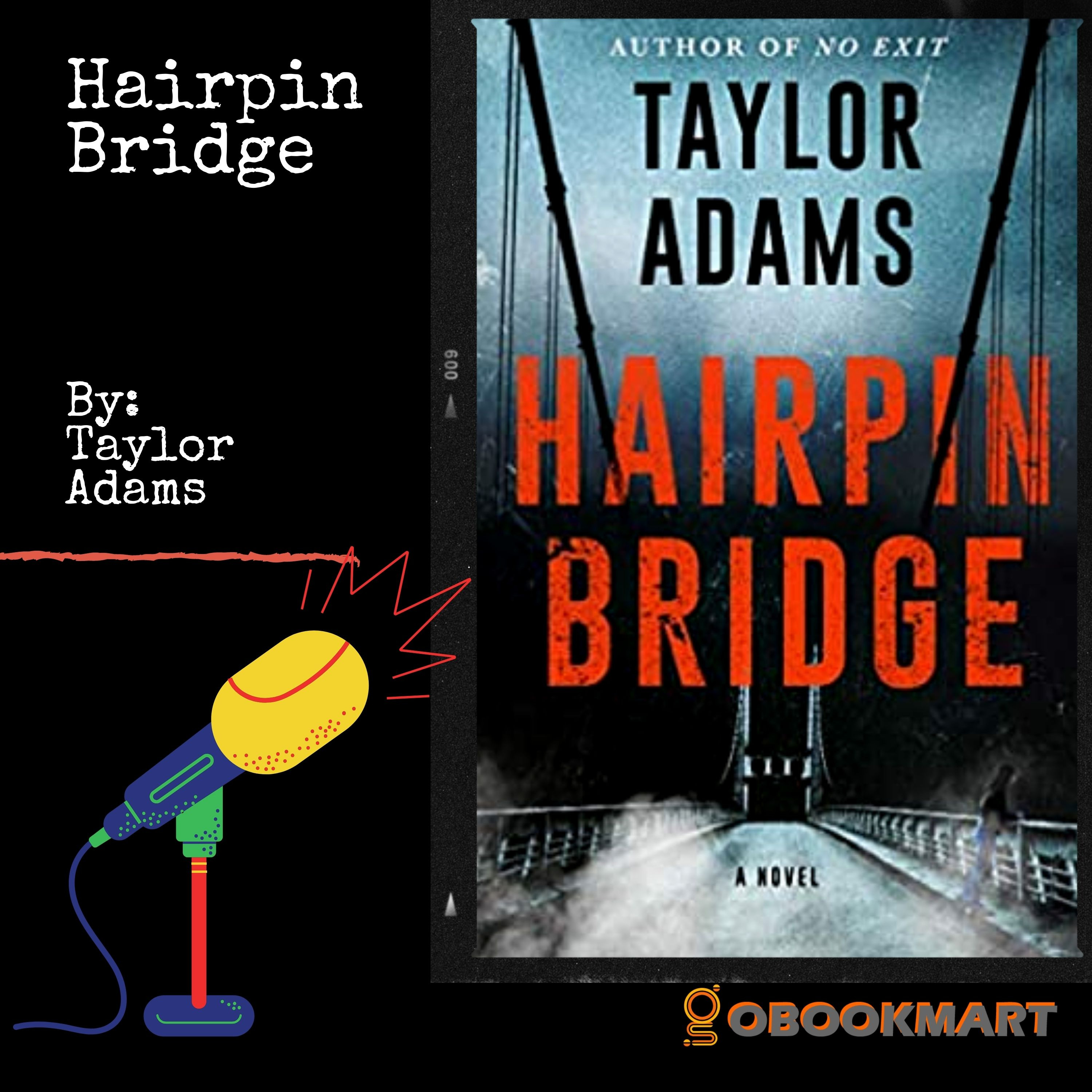 Hairpin Bridge: By Taylor Adams | Book Review Podcast episode artwork