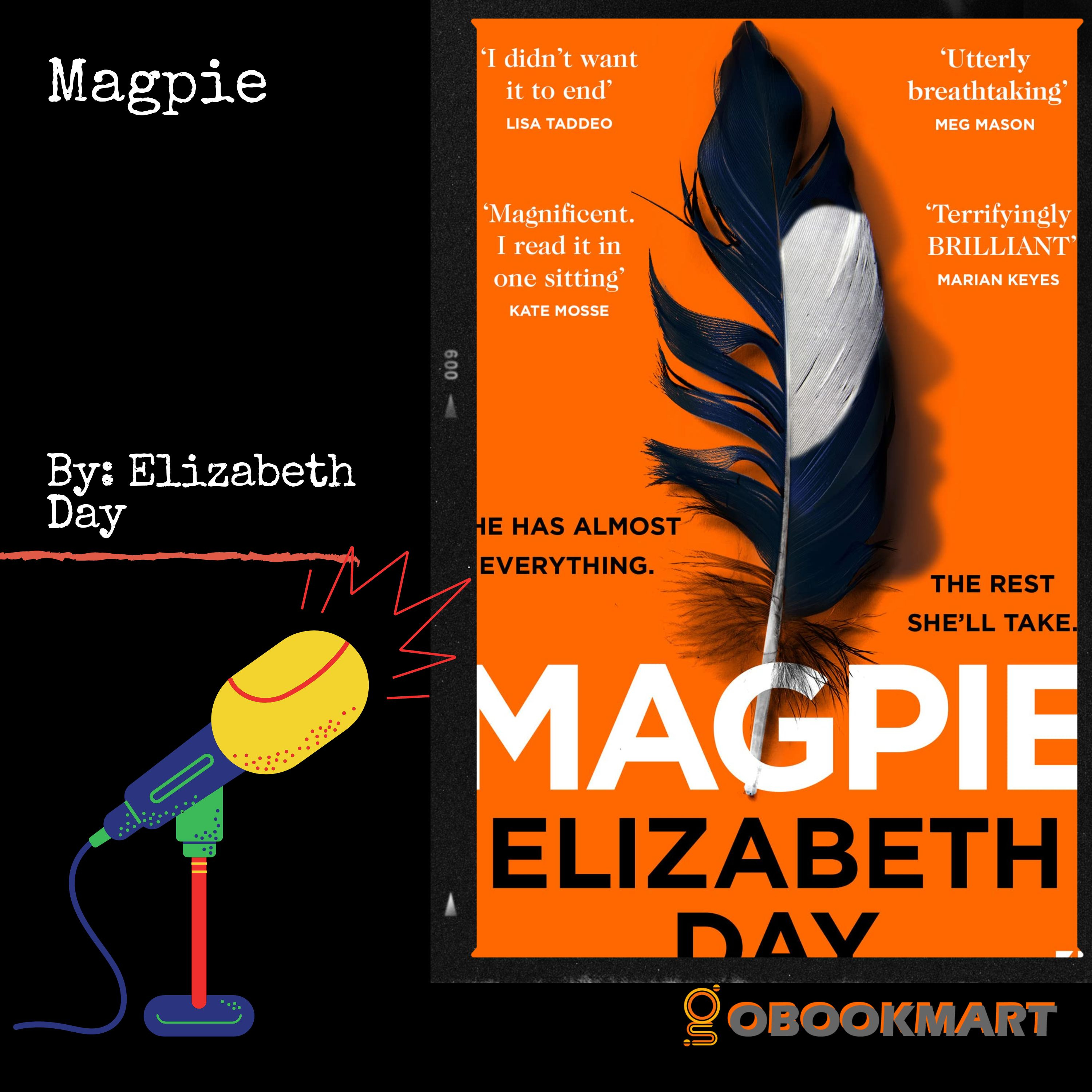 Magpie: by Elizabeth Day | Book Review Podcast episode artwork