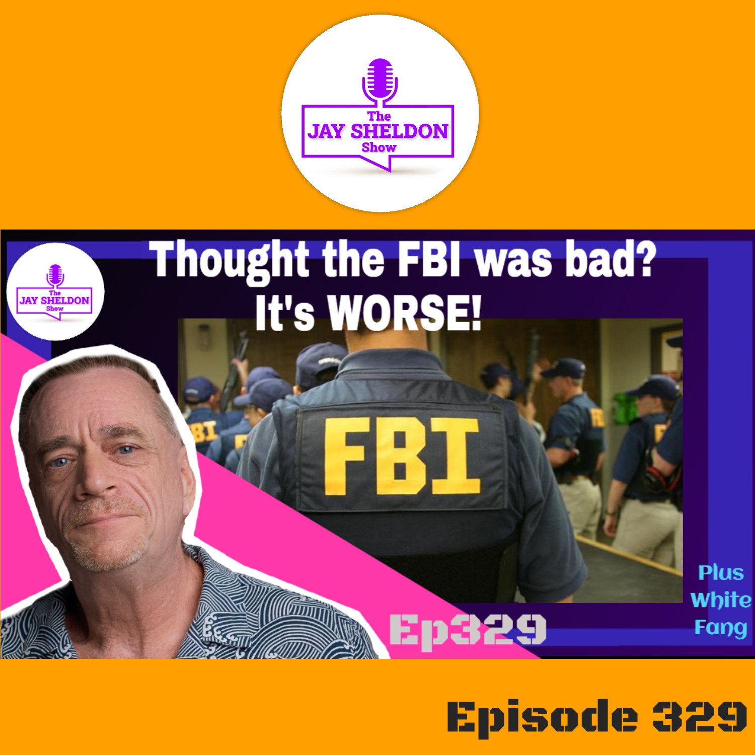 Thought the FBI was bad? It's worse! episode artwork