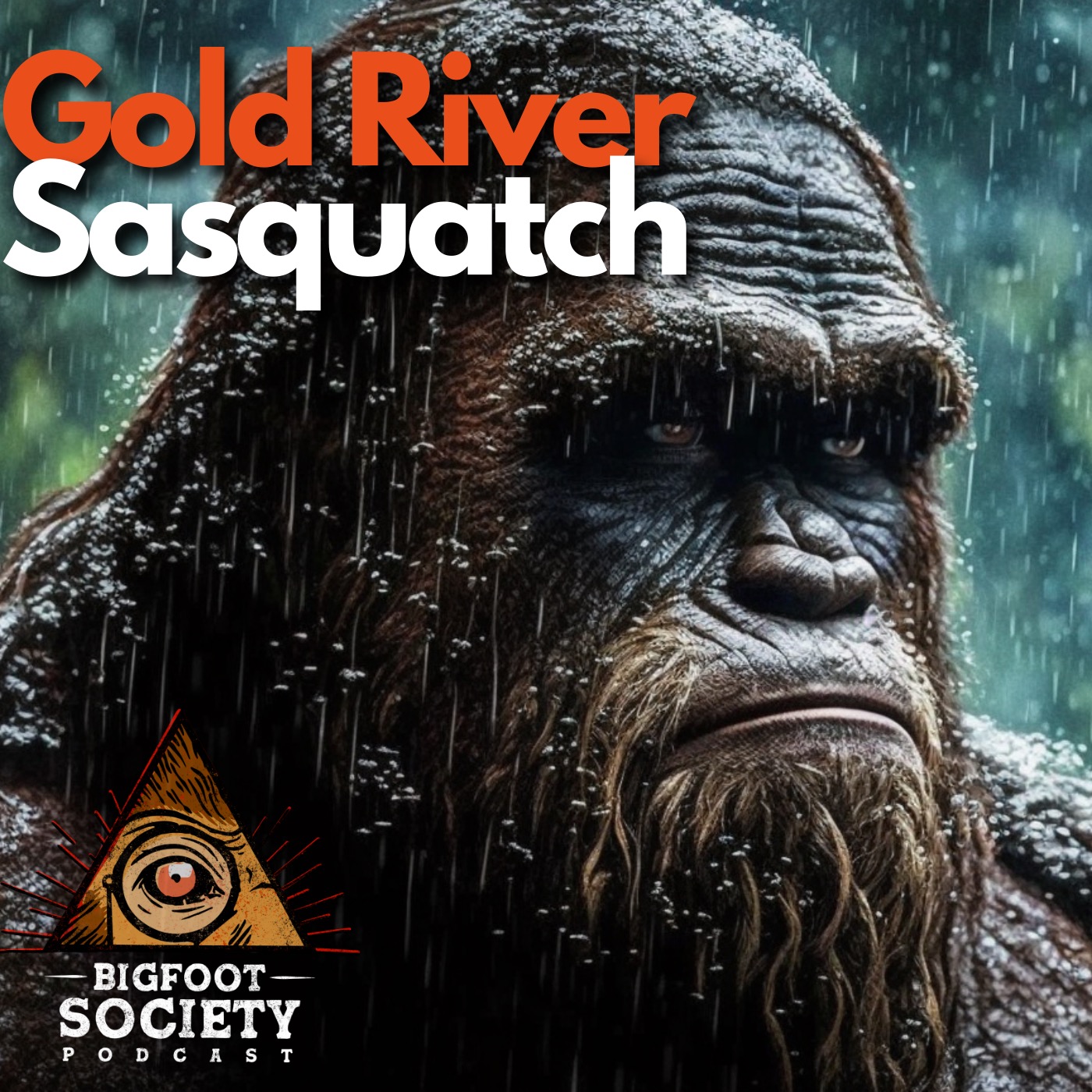 Searching for Sasquatch on Vancouver Island: A Captivating Chat with Keith from Gold River, British Columbia