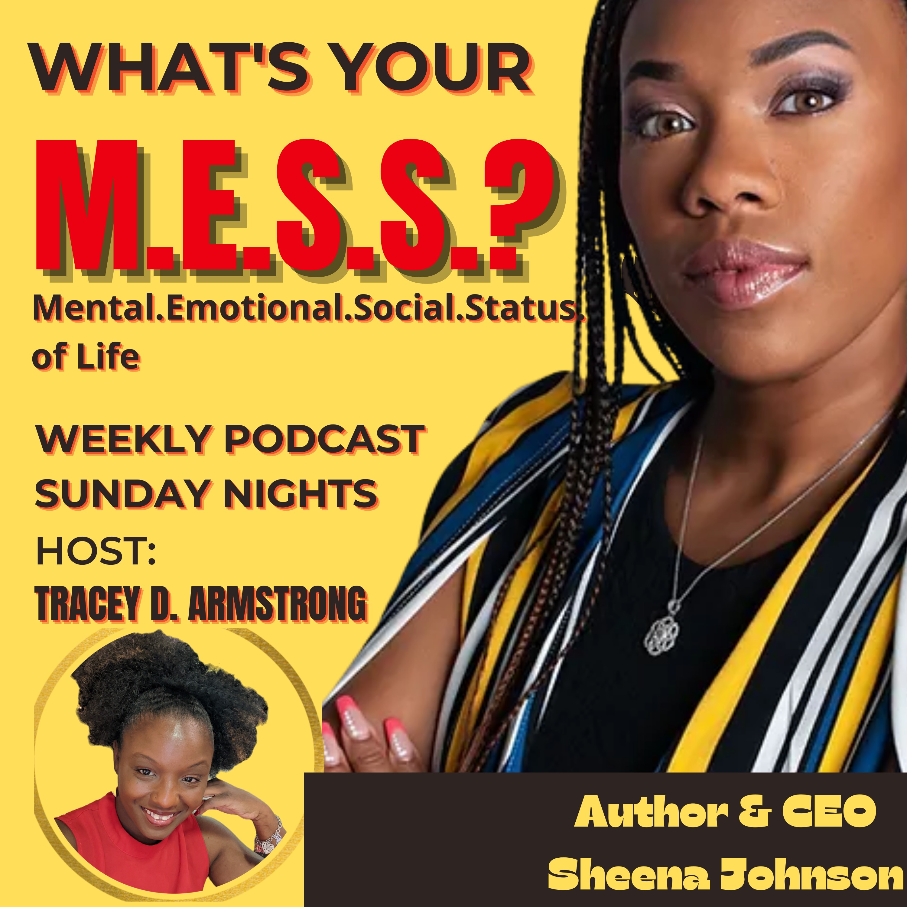 What's Your M.E.S.S.? w/Sheena Johnson