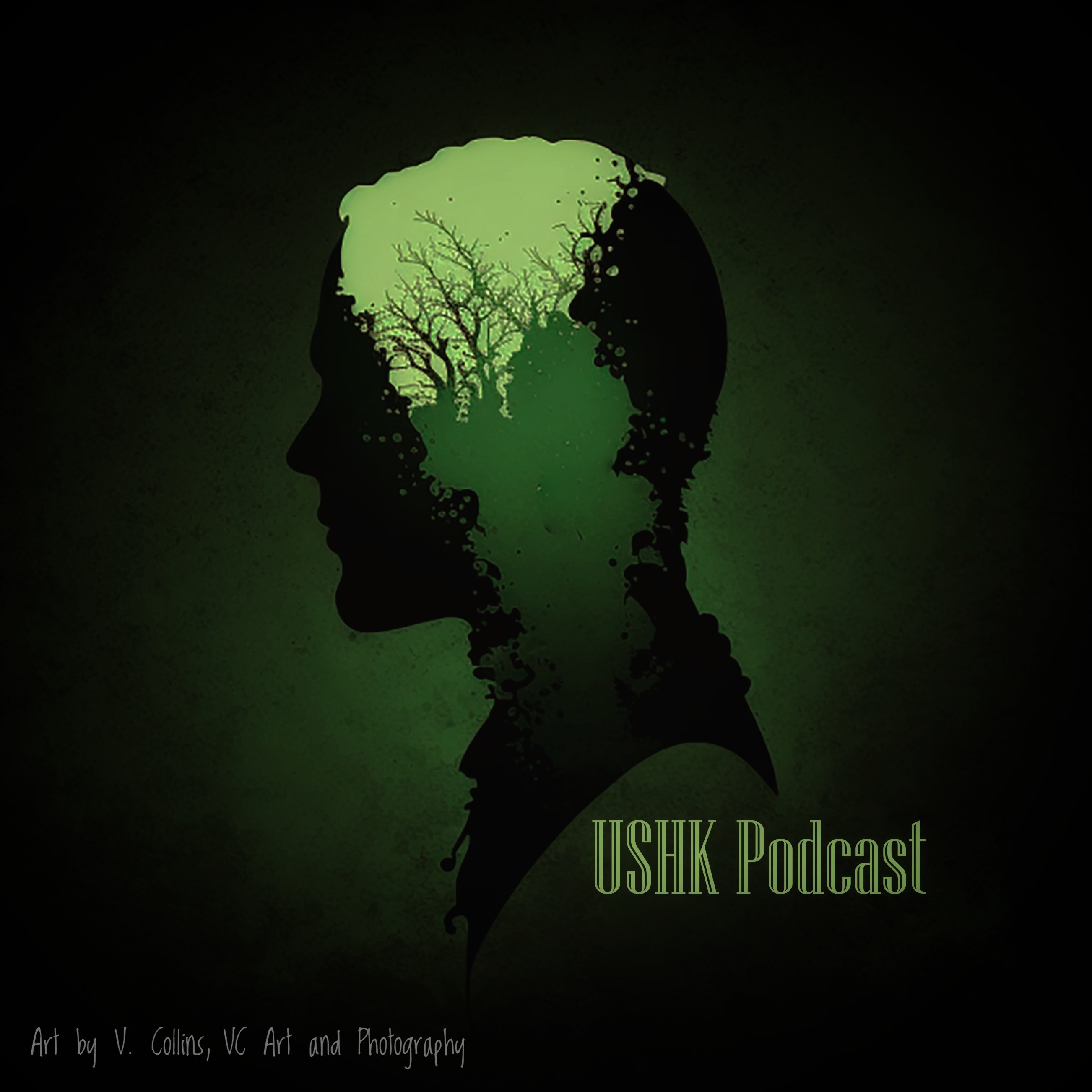Audio Player Image