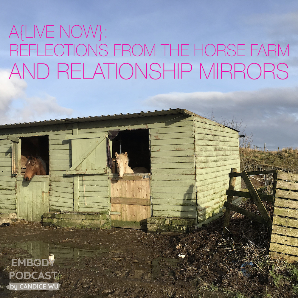 69: A{Live Now}: Reflections from the Horse Farm and Relationship Mirrors
