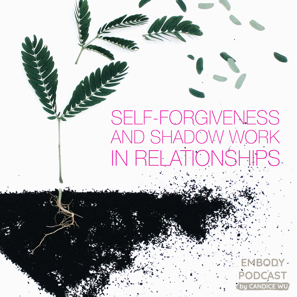 70c: Experiential: Self-Forgiveness and Shadow Work in Relationships episode artwork