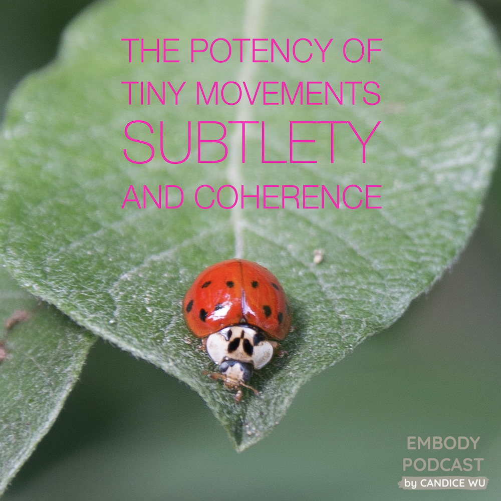 74: The Potency of Tiny Movements, Subtlety, and Coherence