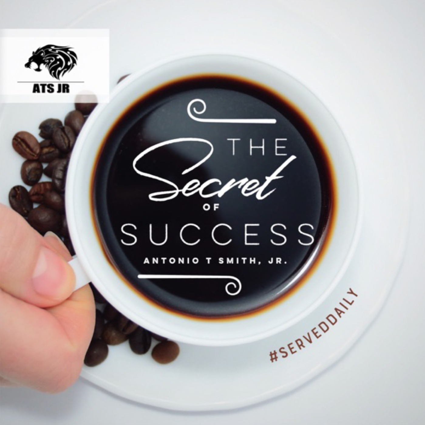 Mastering The Art of A High-End Program That Is Important To Your Brand episode artwork