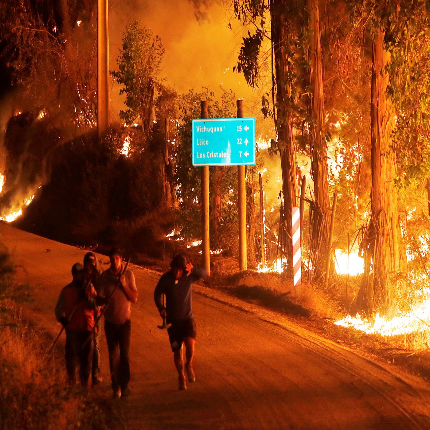 Wild Fire