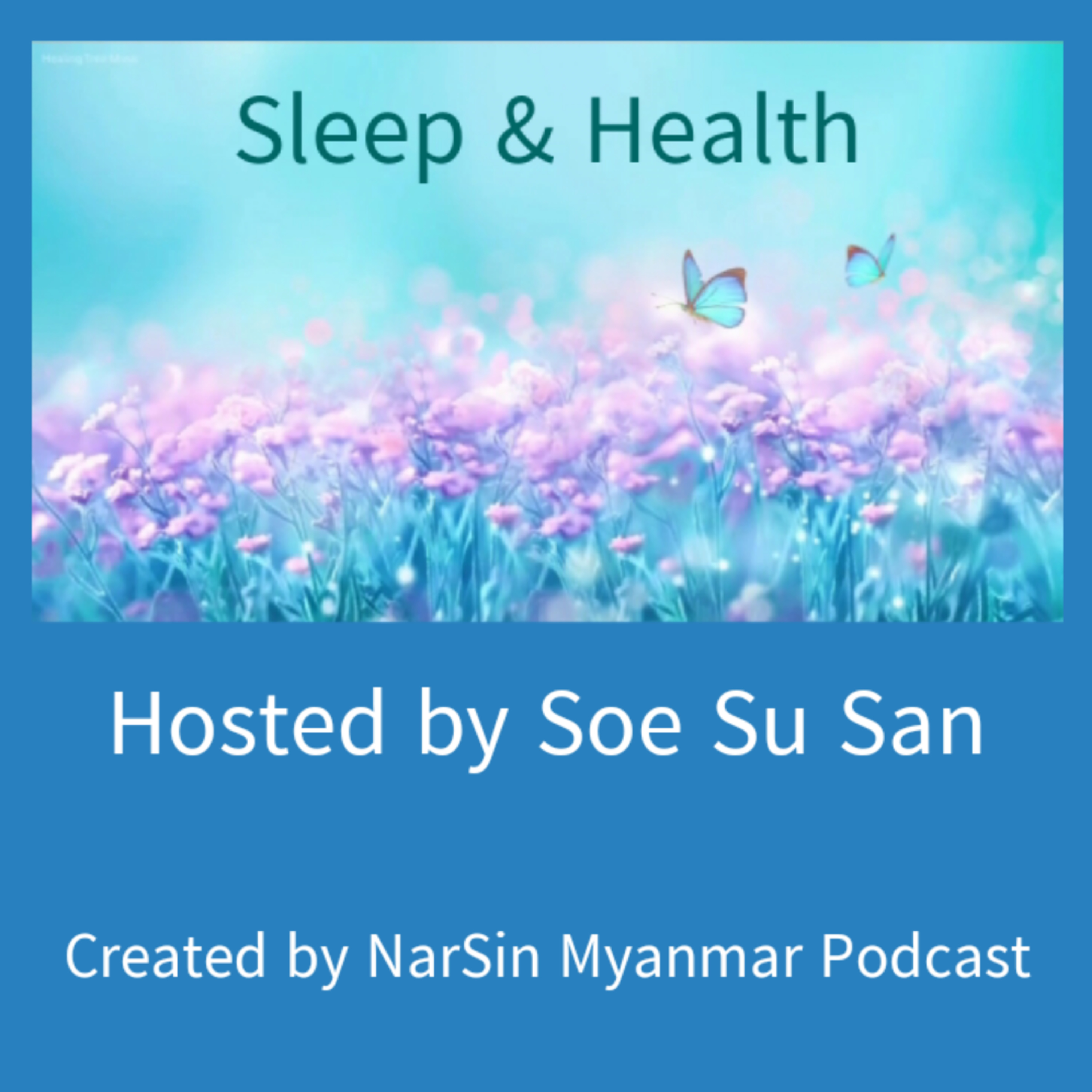NarSin - Myanmar Podcast