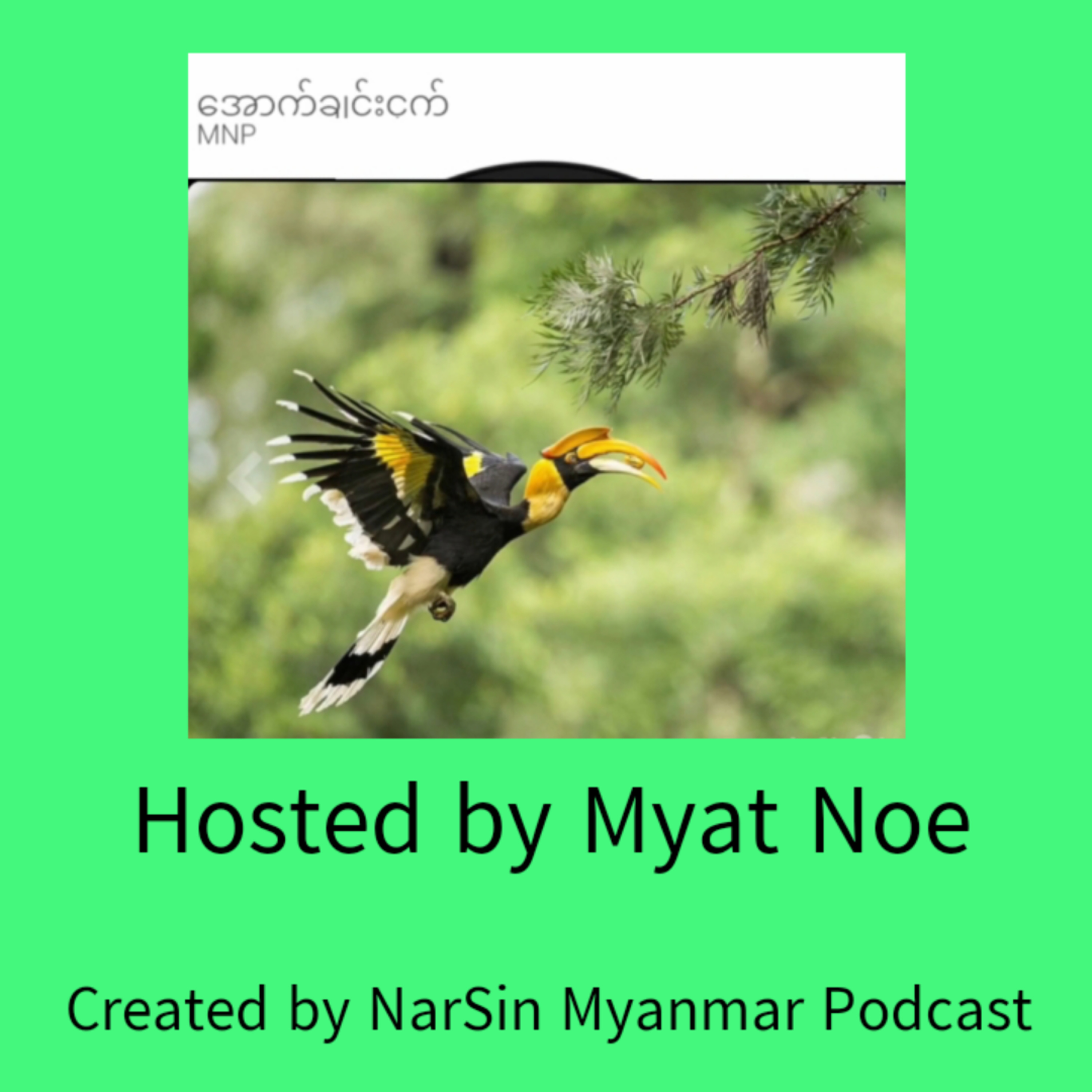 NarSin - Myanmar Podcast
