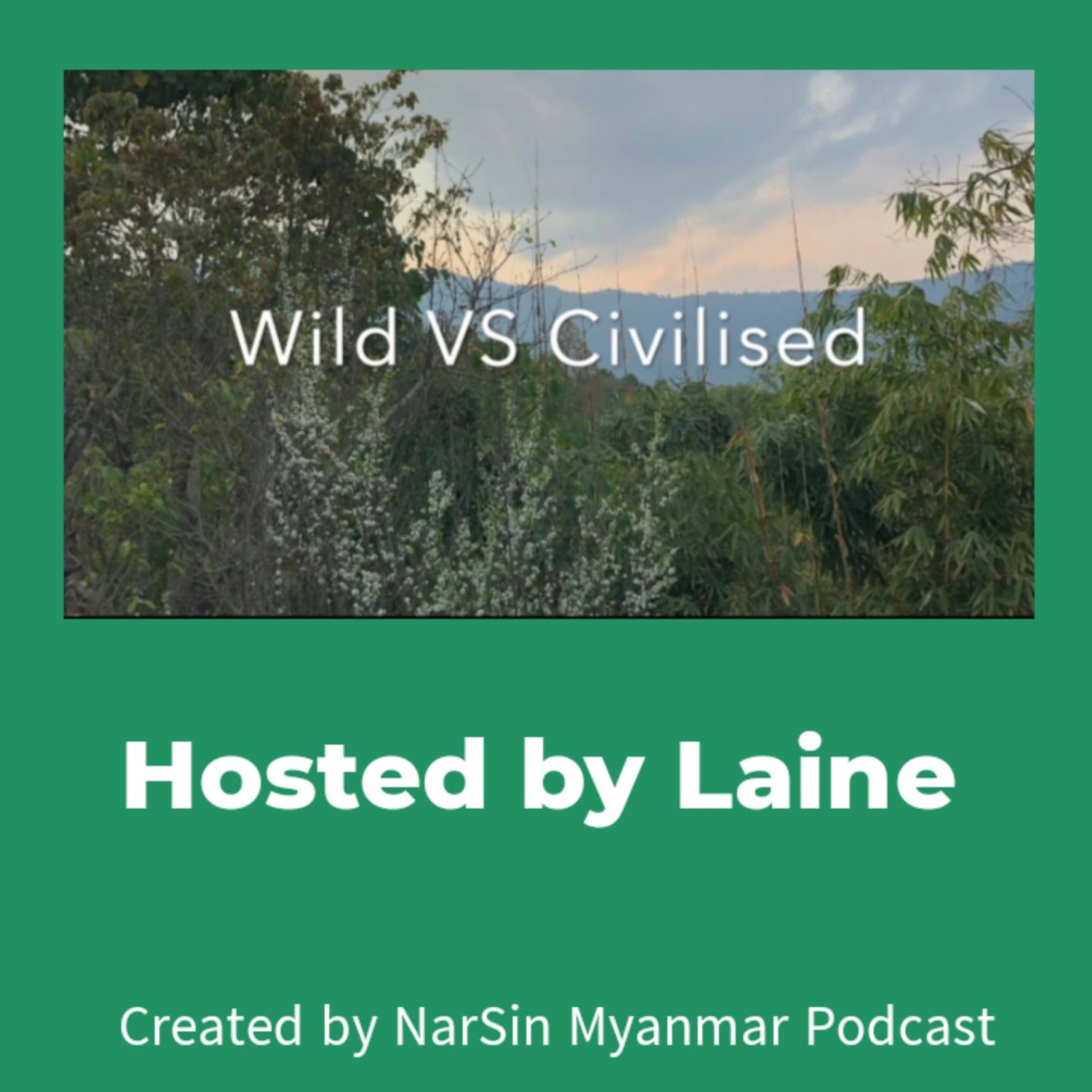 NarSin - Myanmar Podcast