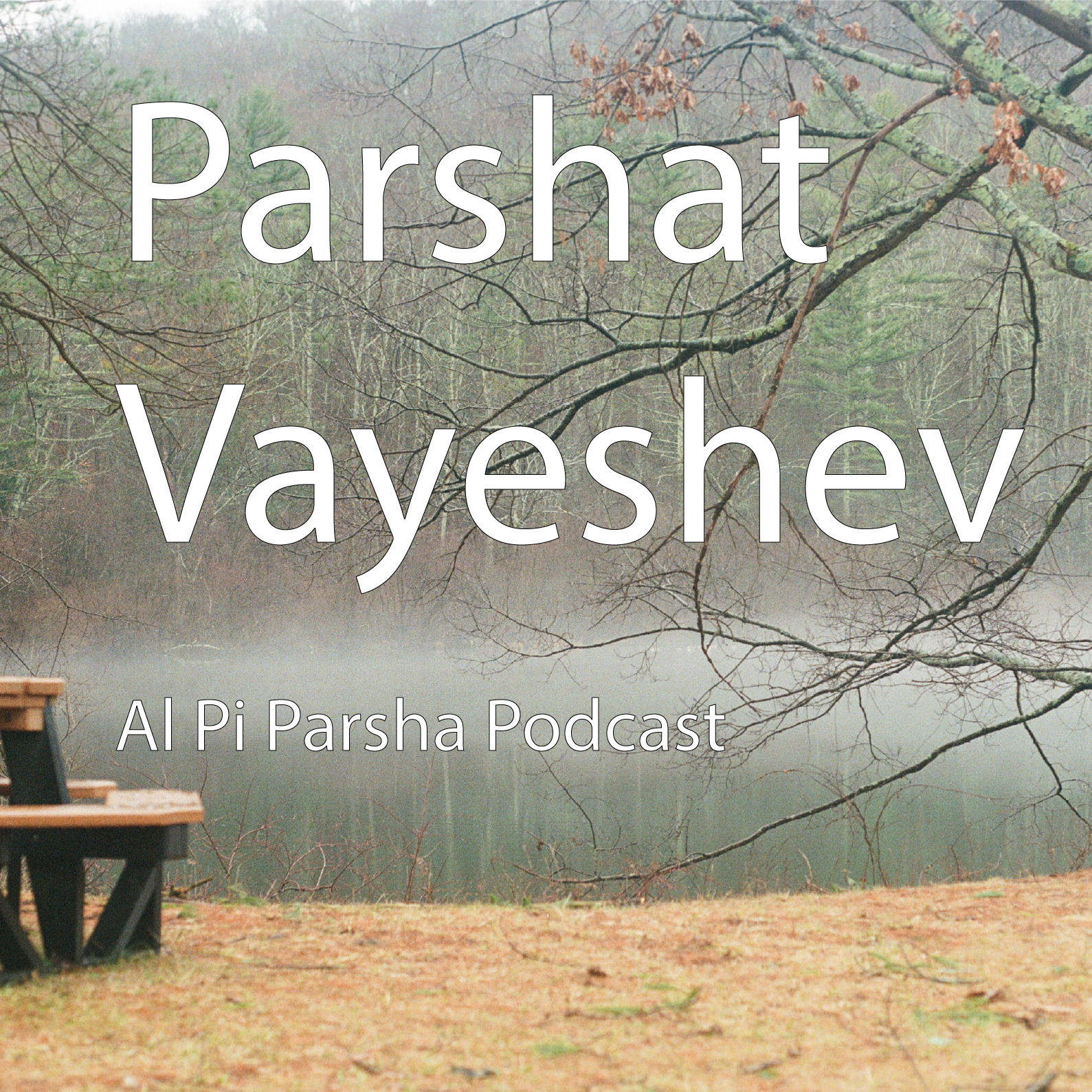 Al Pi Parsha Podcast