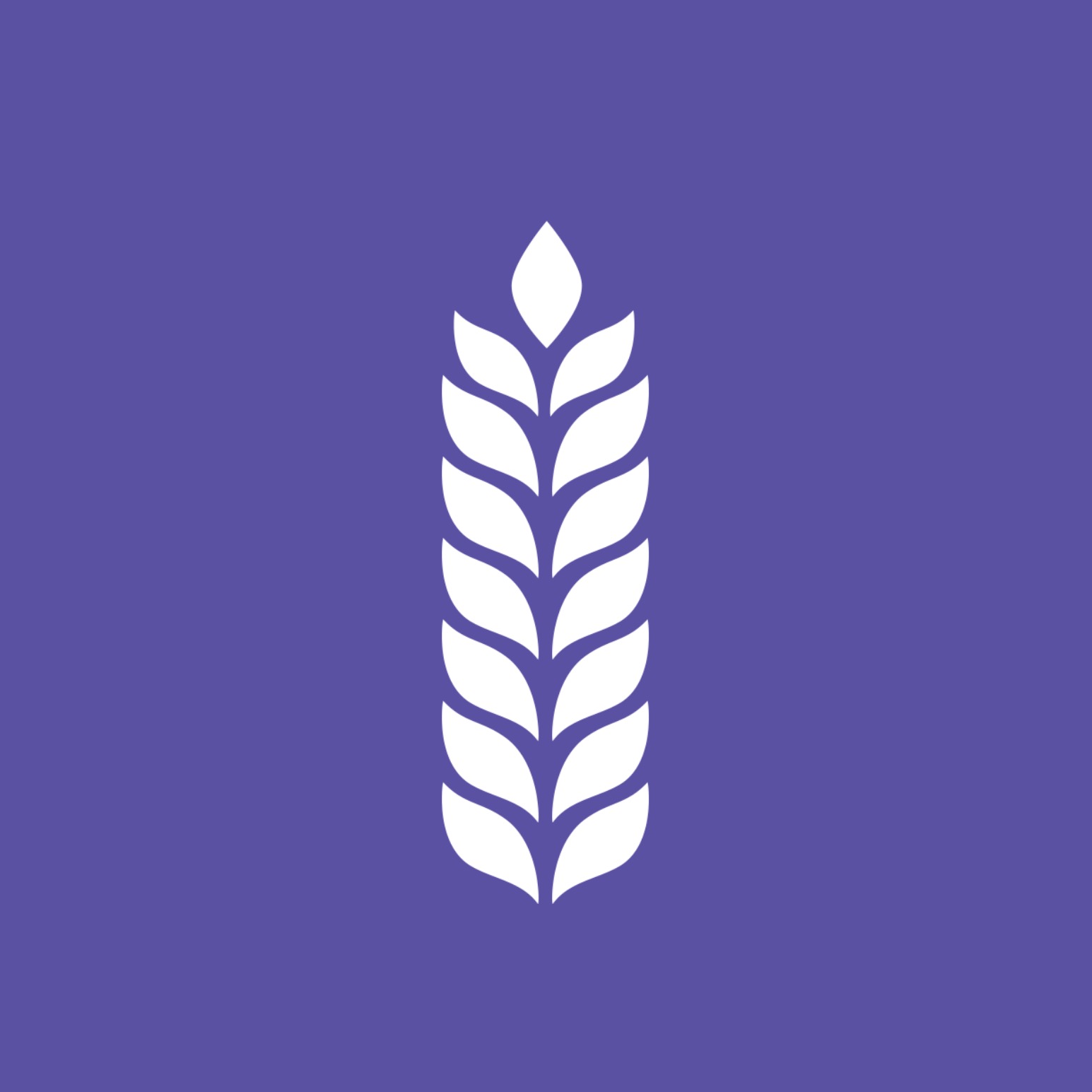 Audio Player Image