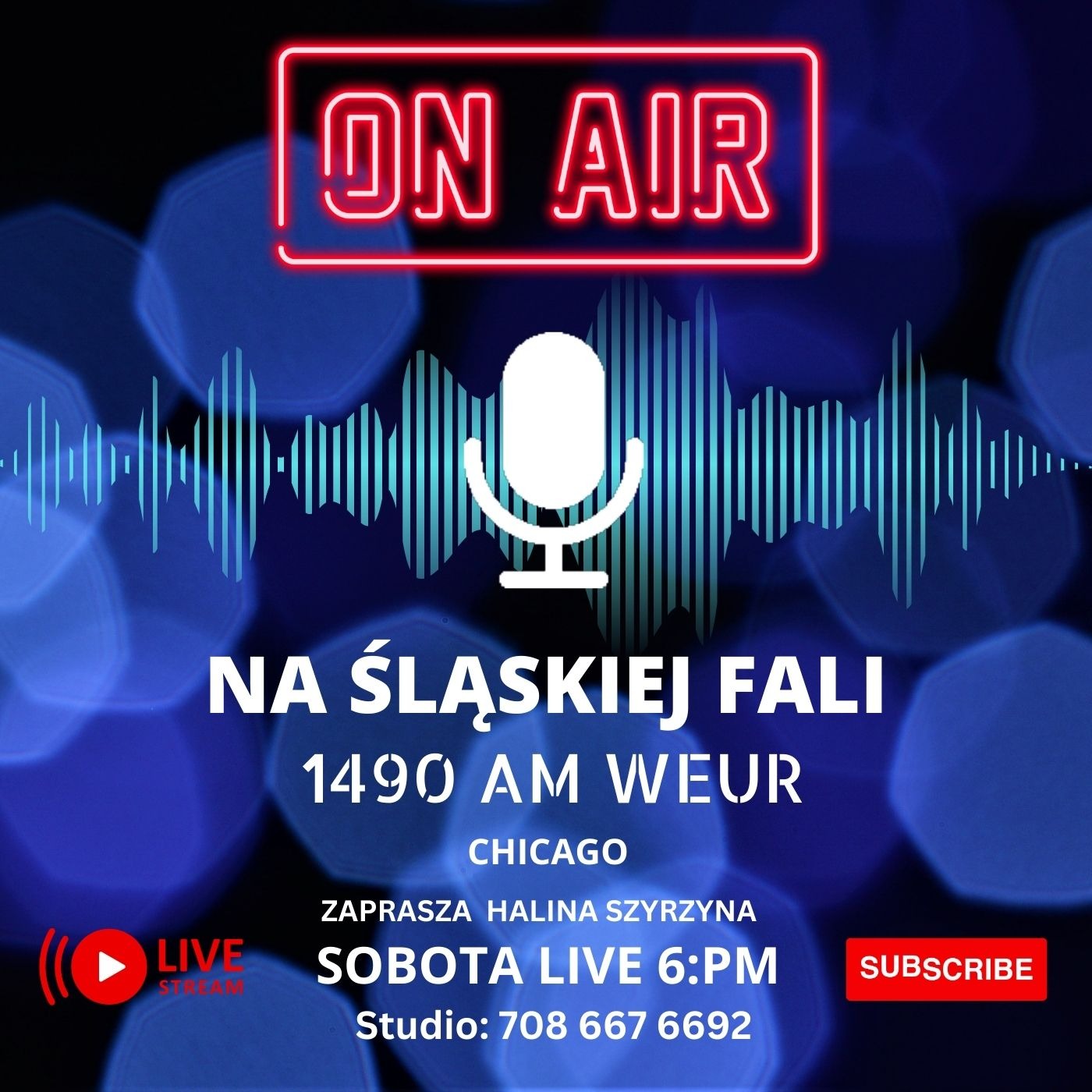Radio NSF Chicago 1490 AM