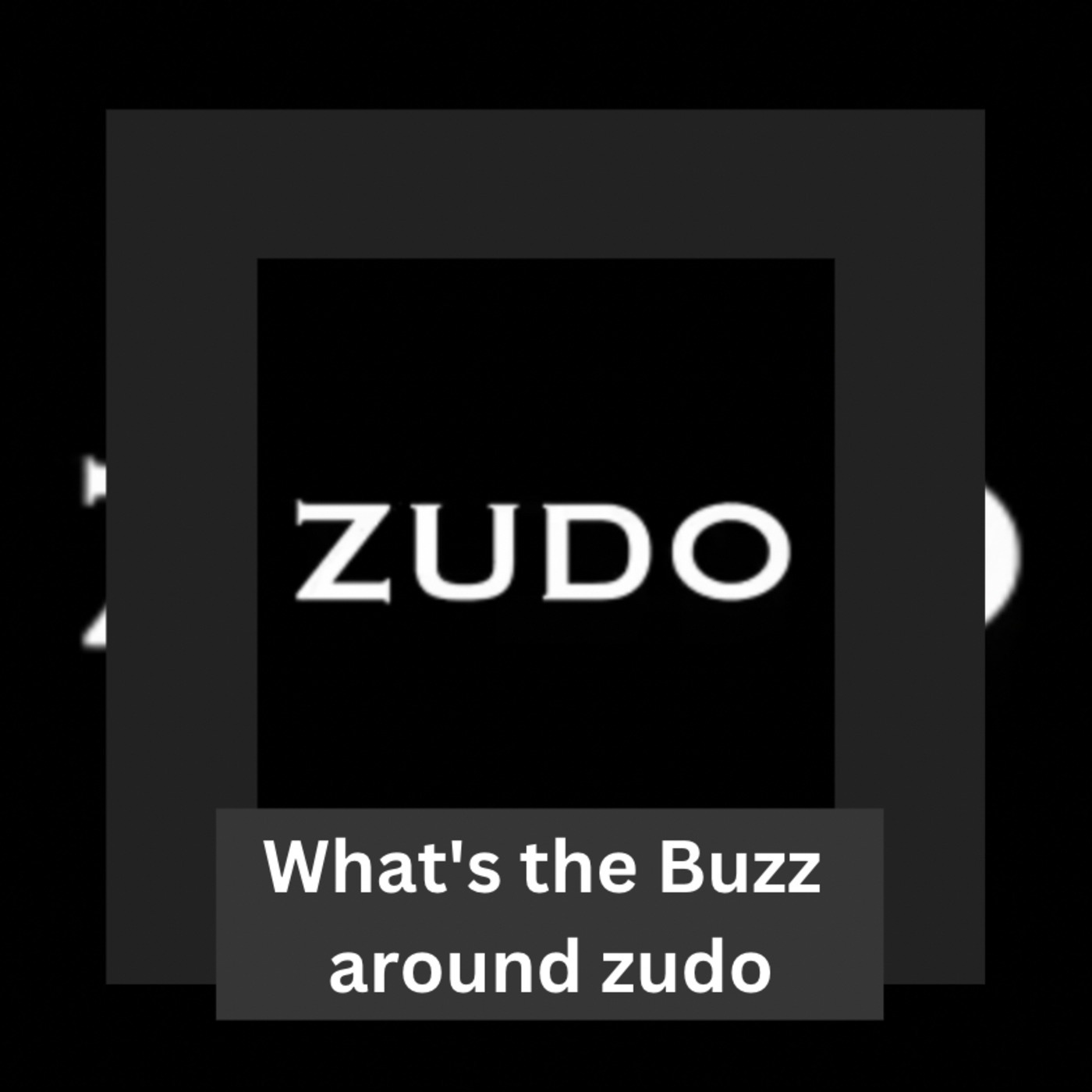 What's the Buzz Around the Business Zudo?