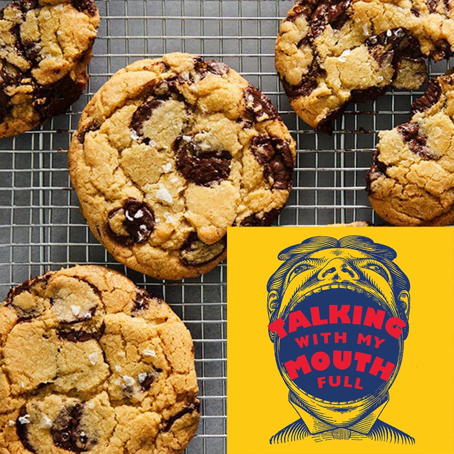 Ep. 63 The REAL Story Behind the NY Times' Chocolate Chip Cookies