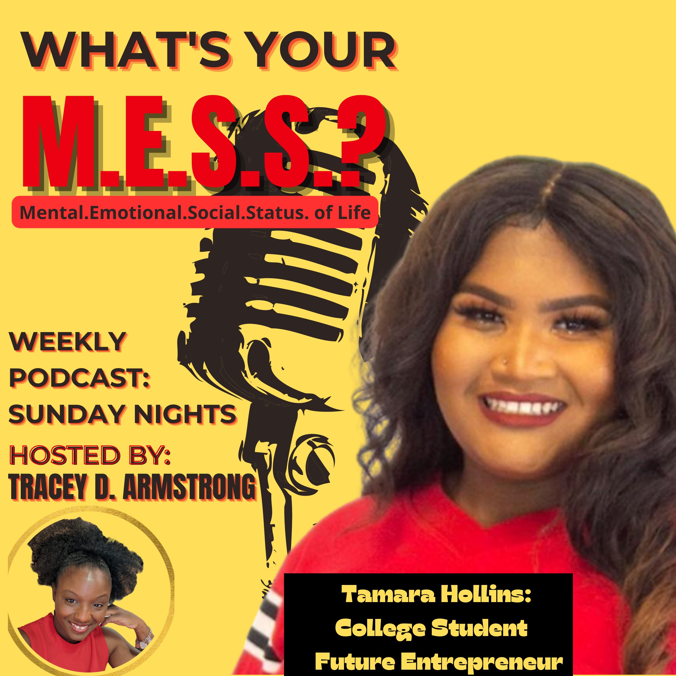 What´s Your M.E.S.S.? w/ Tamara Hollins