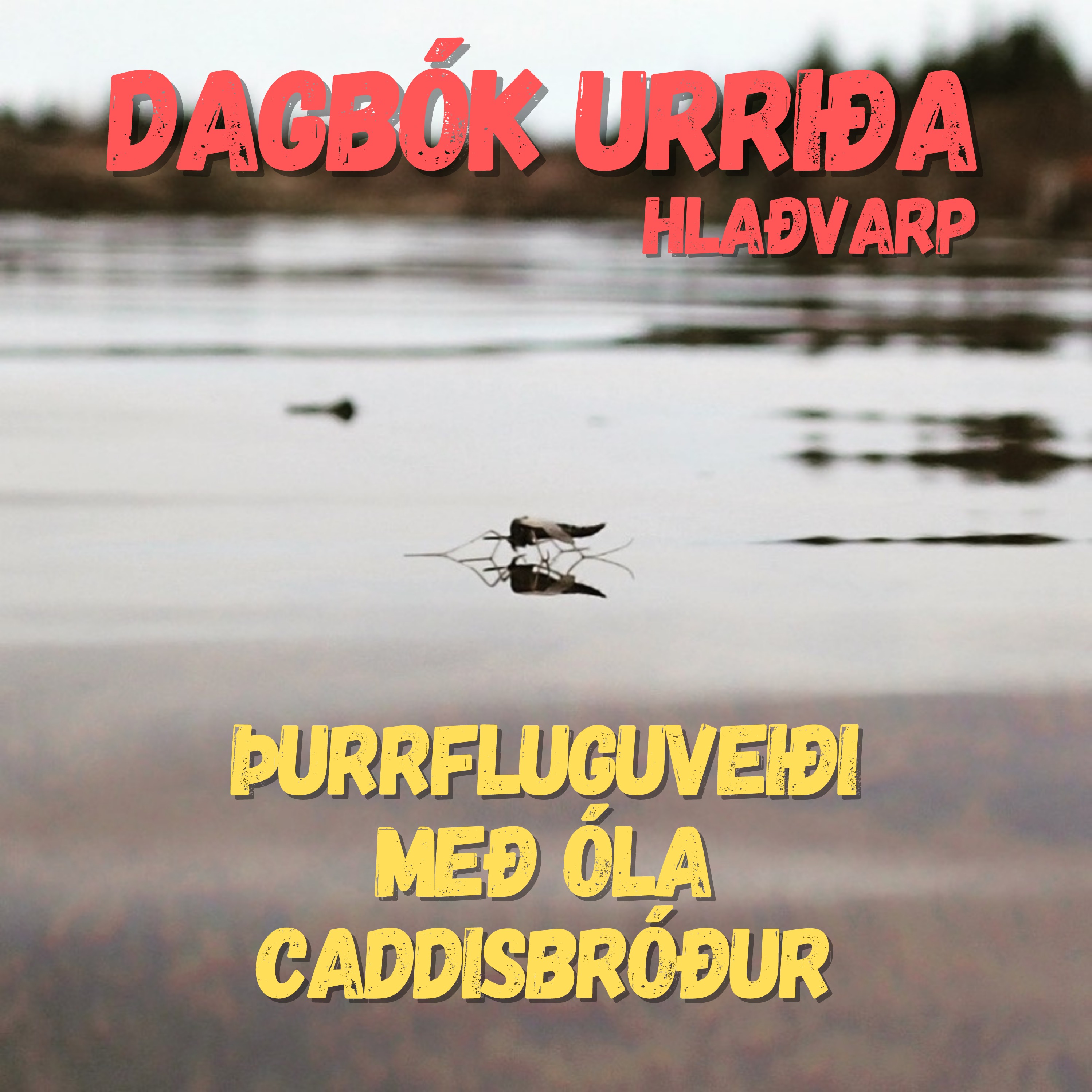 Dagbók urriða - Truflaðir veiðimenn - Áskrift.