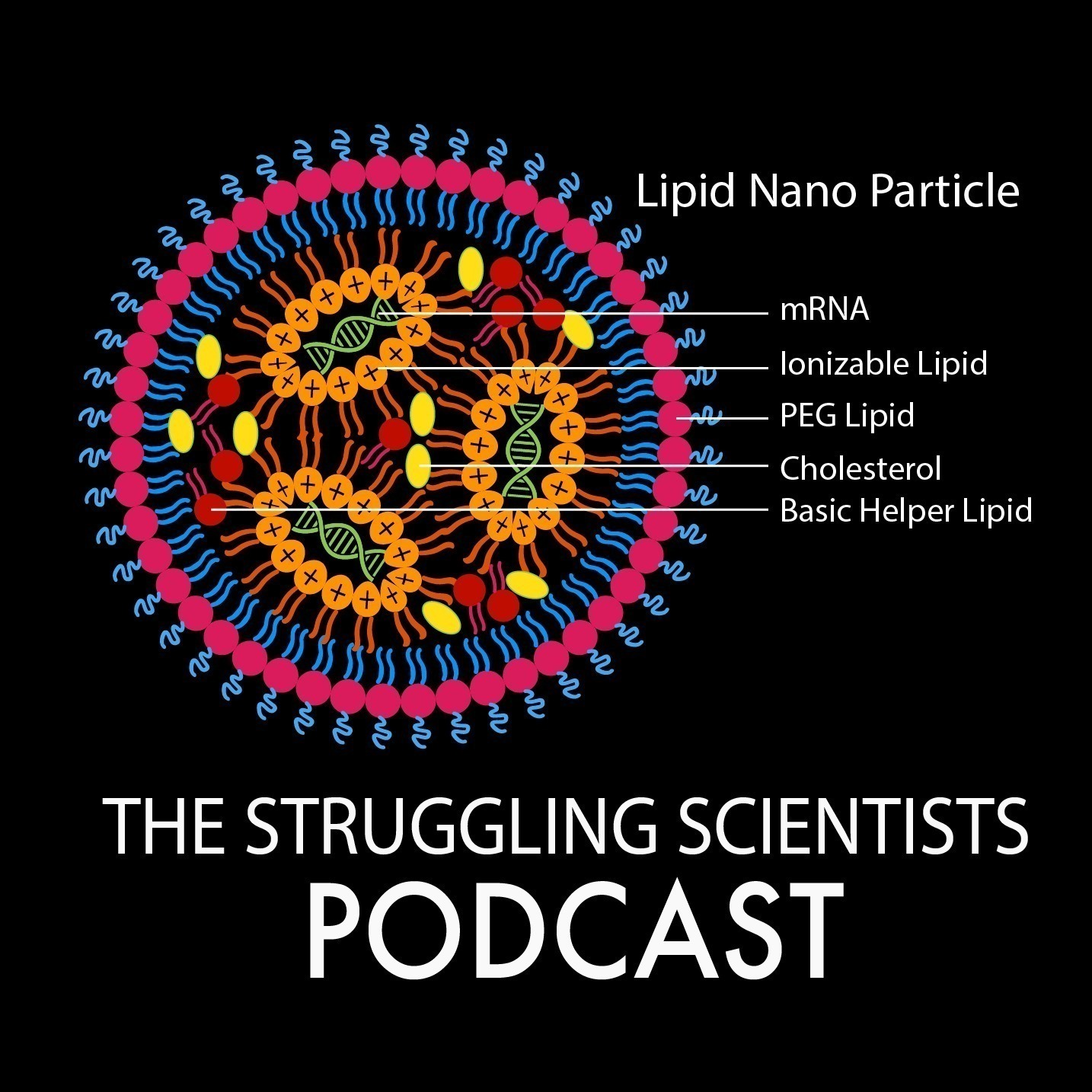 The Struggling Scientists