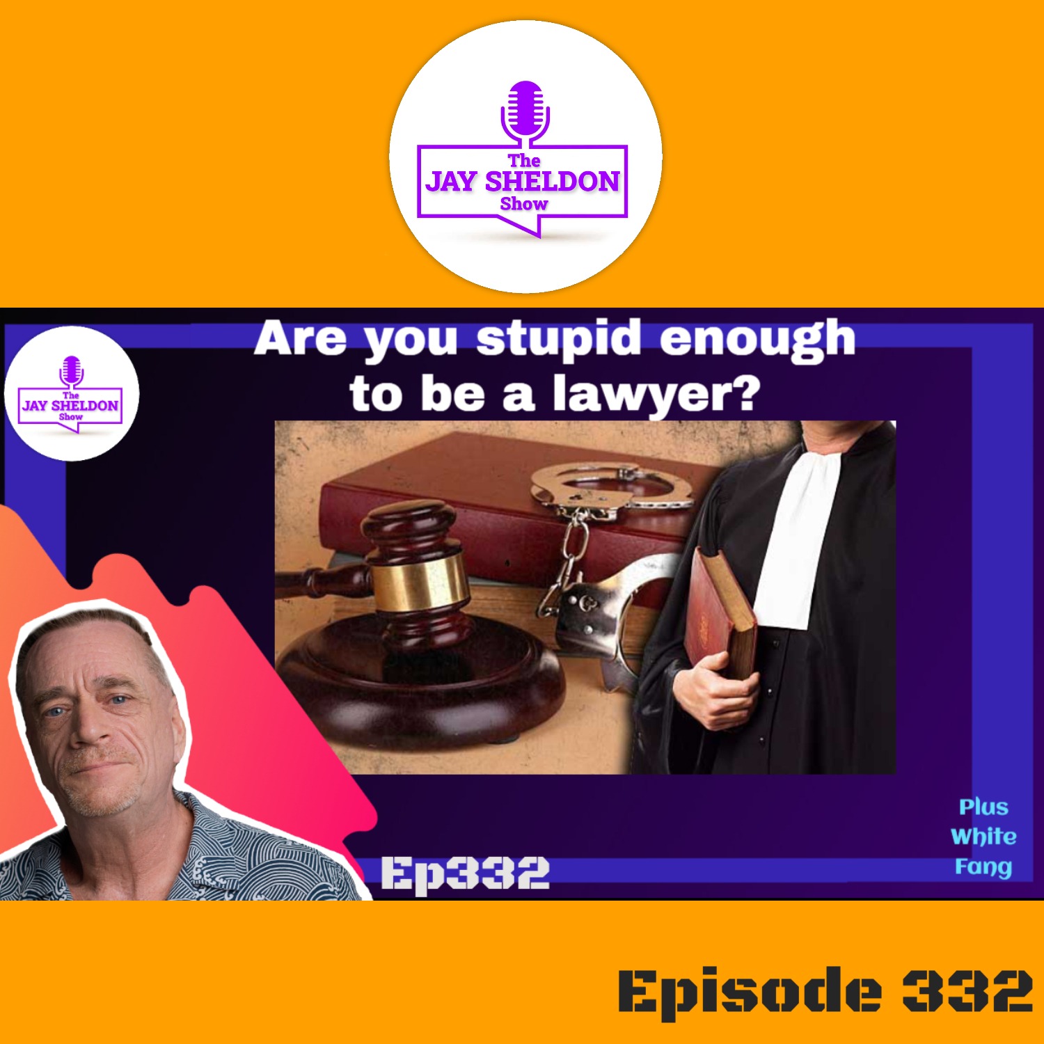 Are You Stupid Enough To Be A Lawyer?! episode artwork