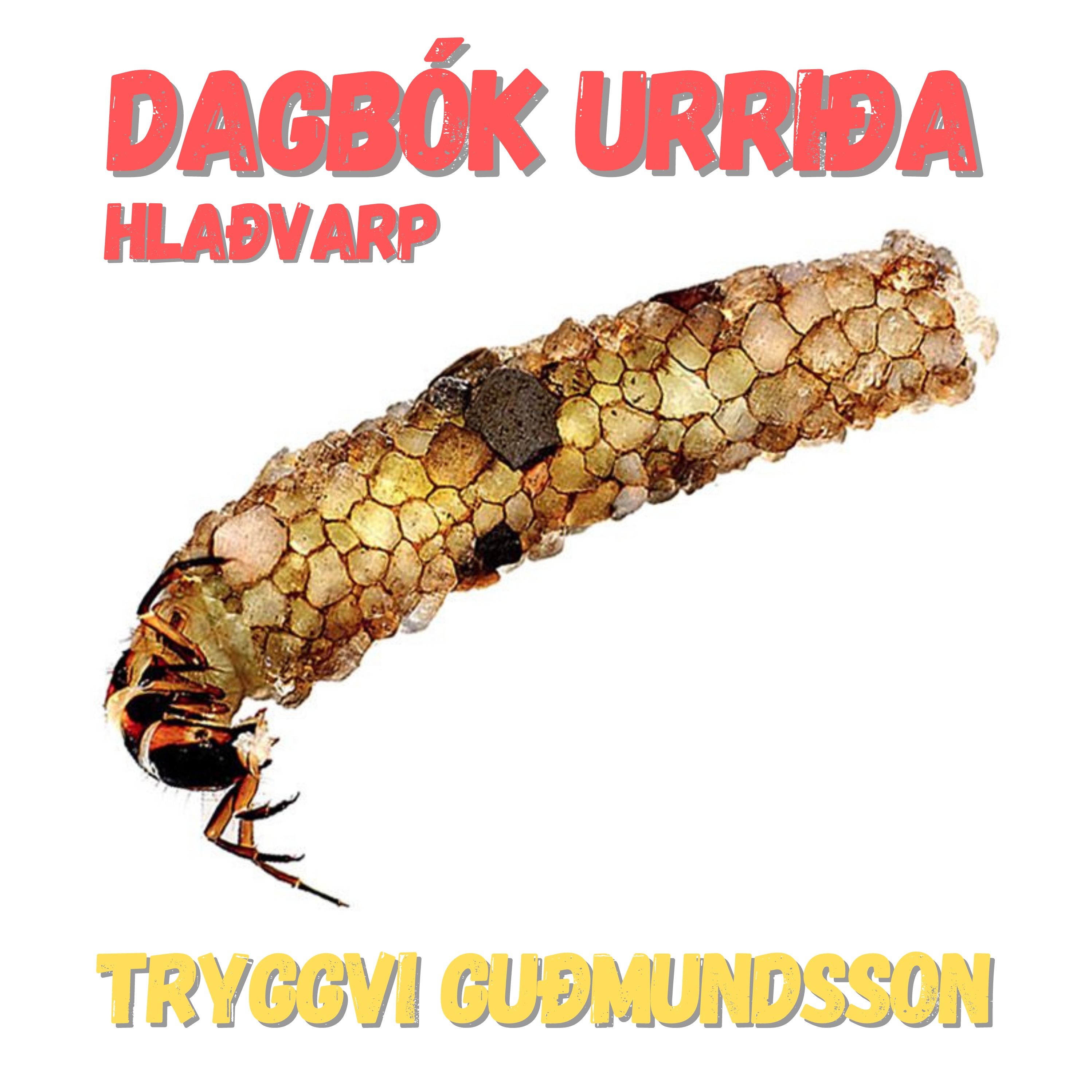 Dagbók urriða - Truflaðir veiðimenn - Áskrift.