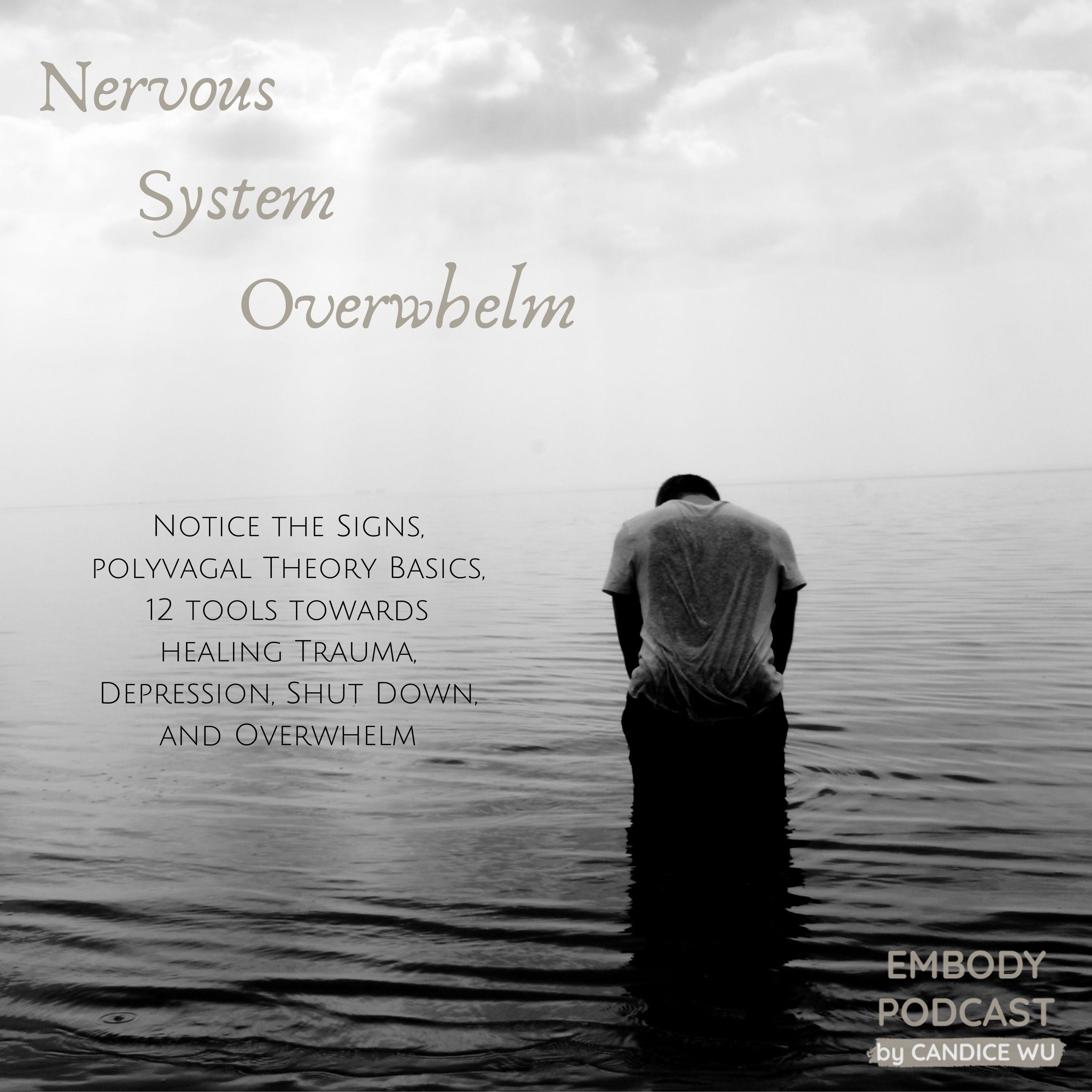 92: Nervous System Overwhelm: Notice the Signs, Polyvagal Theory Basics, and 12 Tools Towards Healing Trauma, Depression, Shut Down, and Overwhelm episode artwork