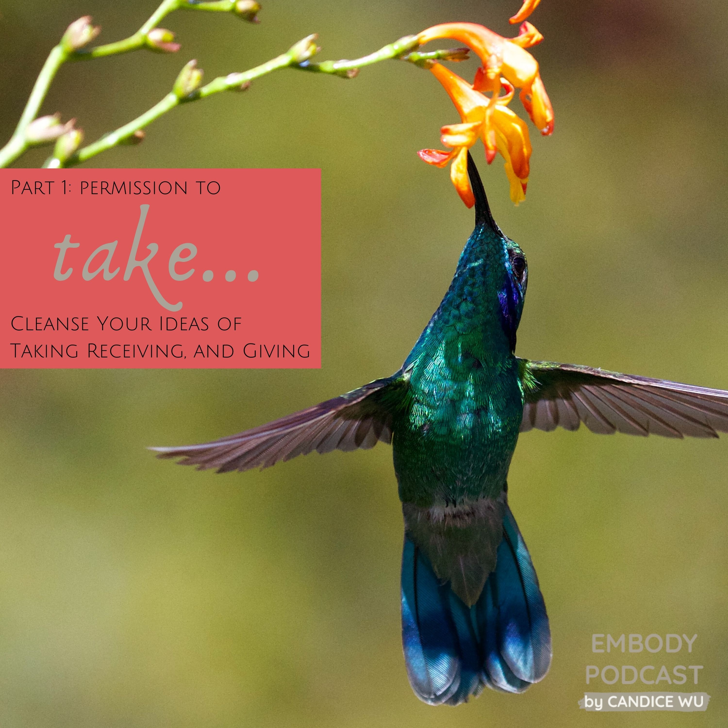 97: Taking vs. Receiving — Part 1 — Permission to Take… Cleanse Your Ideas of Taking, Receiving, and Giving