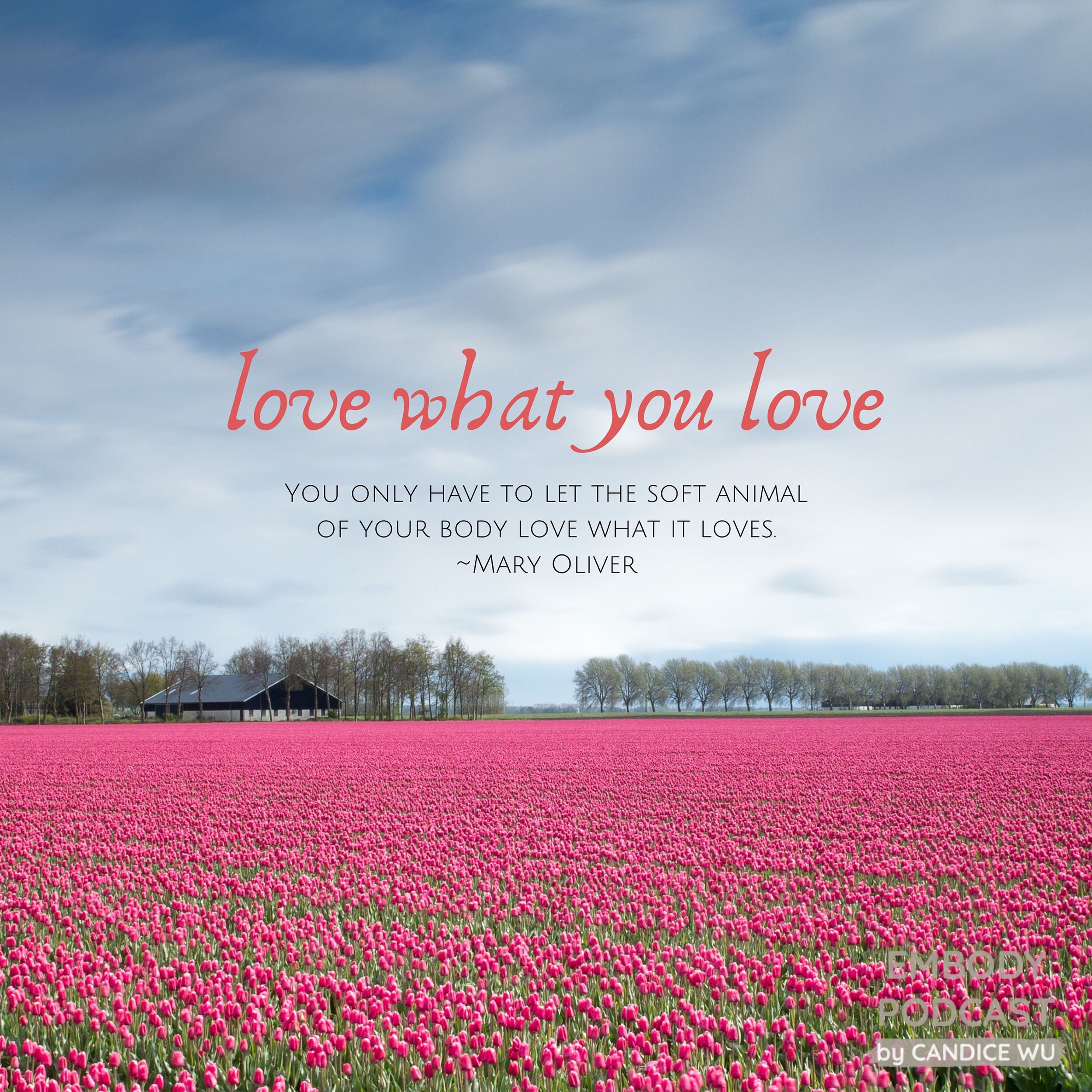108: Love What You Love