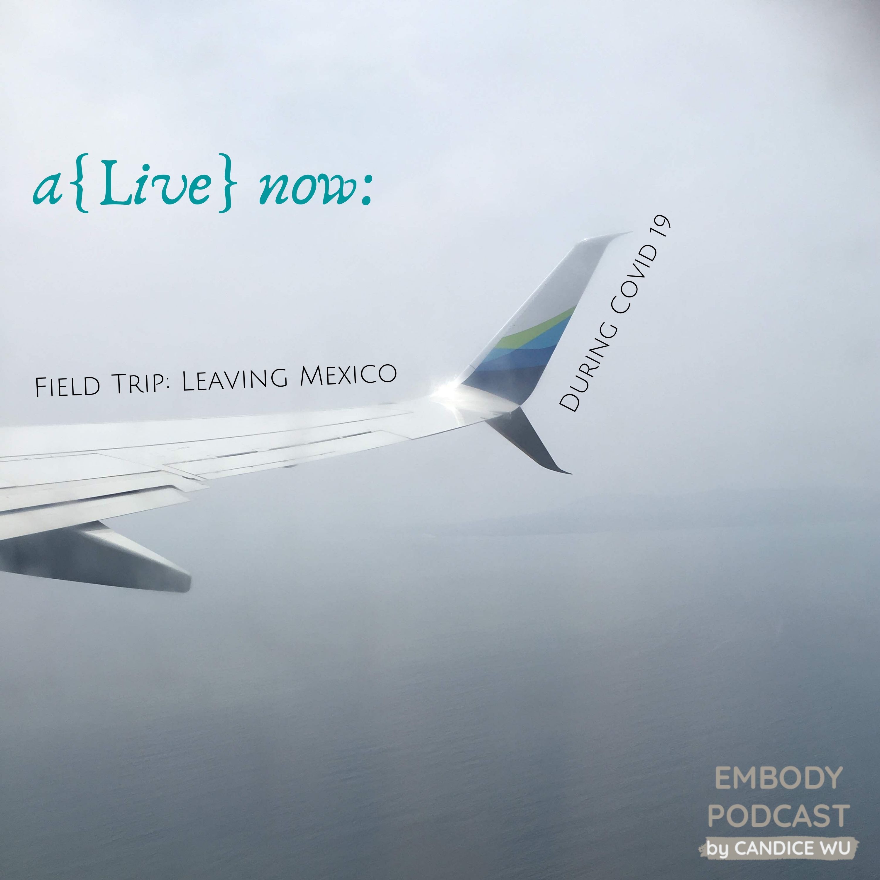 125: A{Live} Now: Leaving Mexico and Travel Field Trip: Traveling Out of Mexico During COVID 19