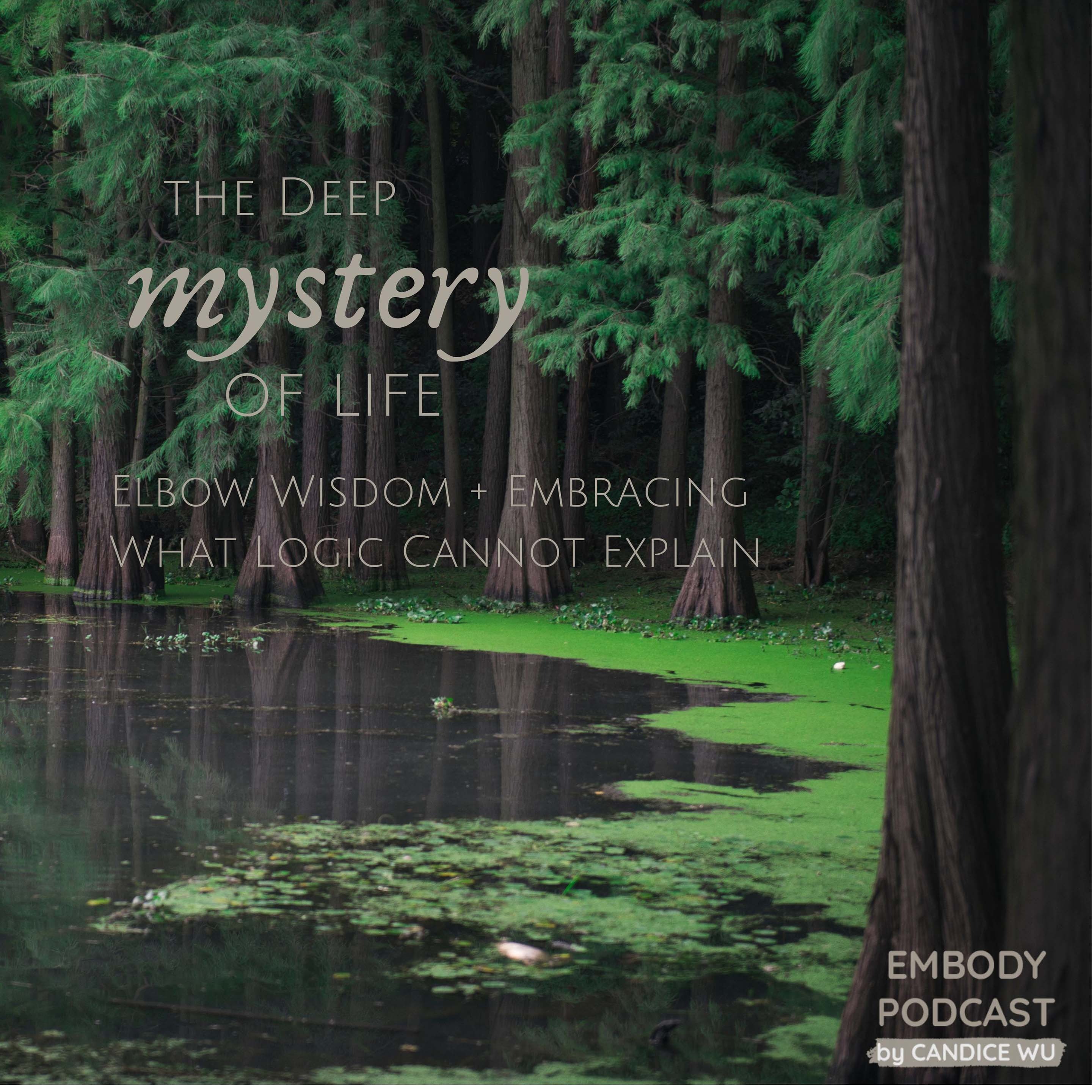 84: The Deep Mystery of Life + Elbow Wisdom : Embracing What Logic Cannot Explain