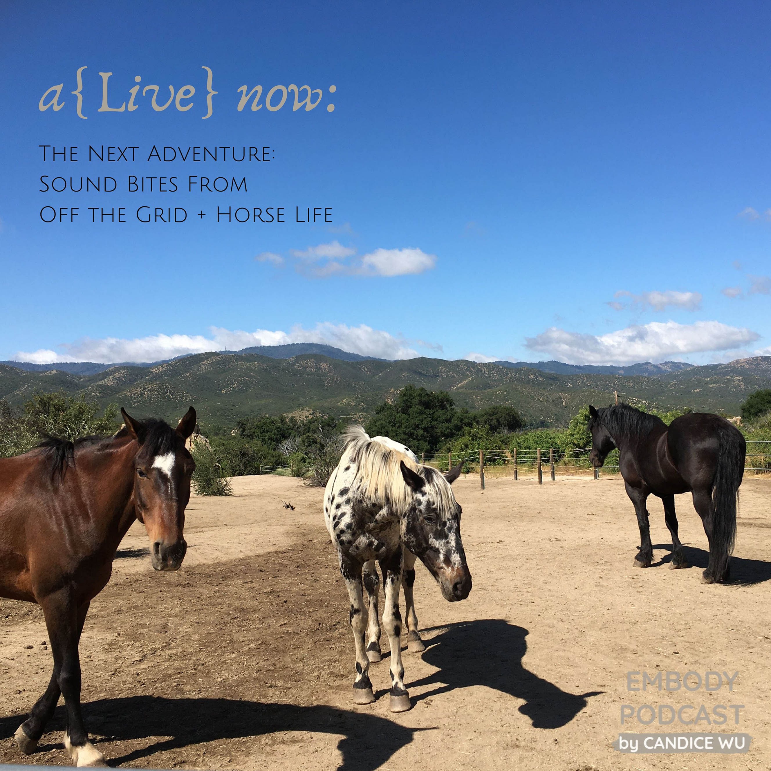 125a: A{Live} Now: The Next Adventure: Sound Bites From Off the Grid + Horse Life